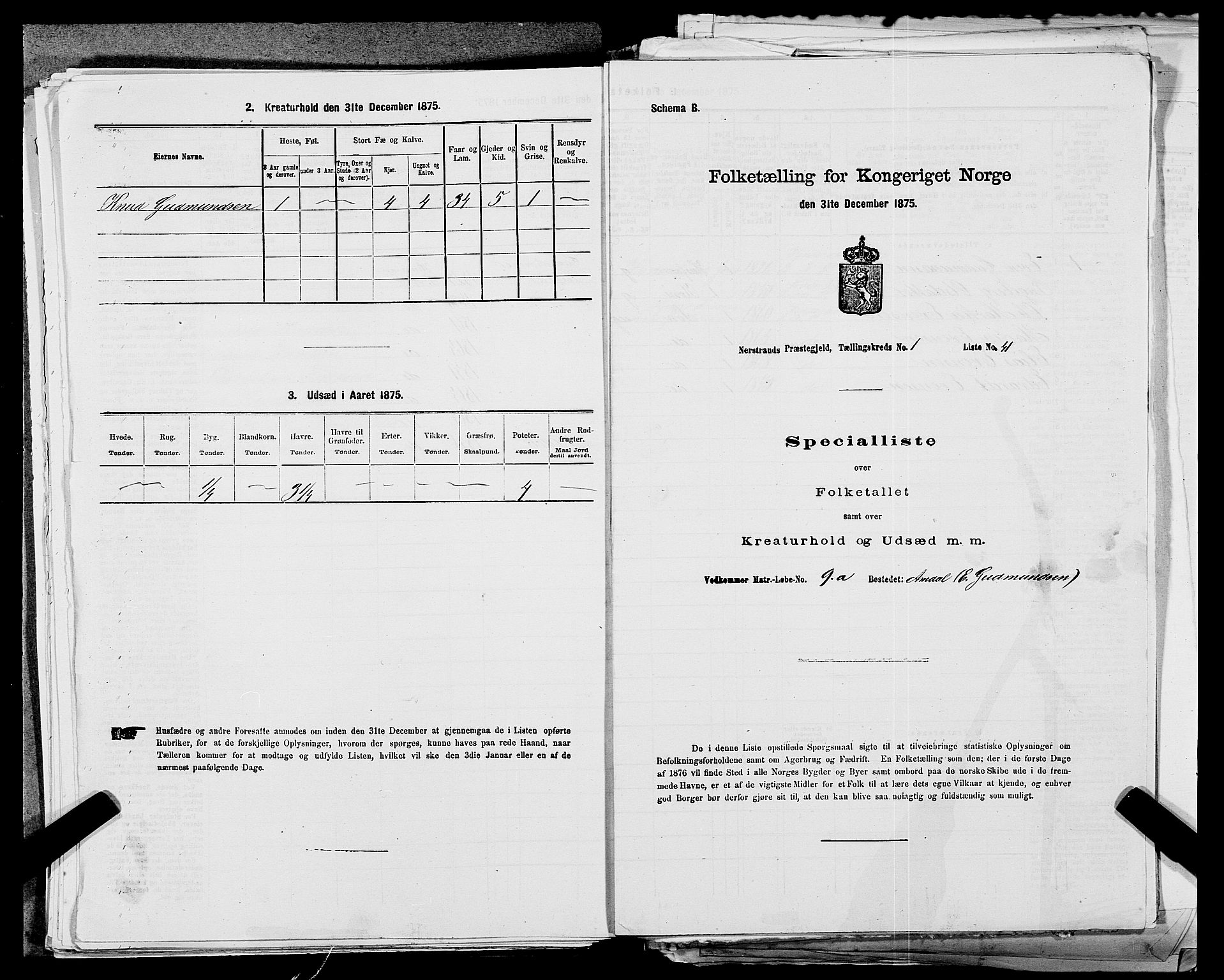SAST, 1875 census for 1139P Nedstrand, 1875, p. 129