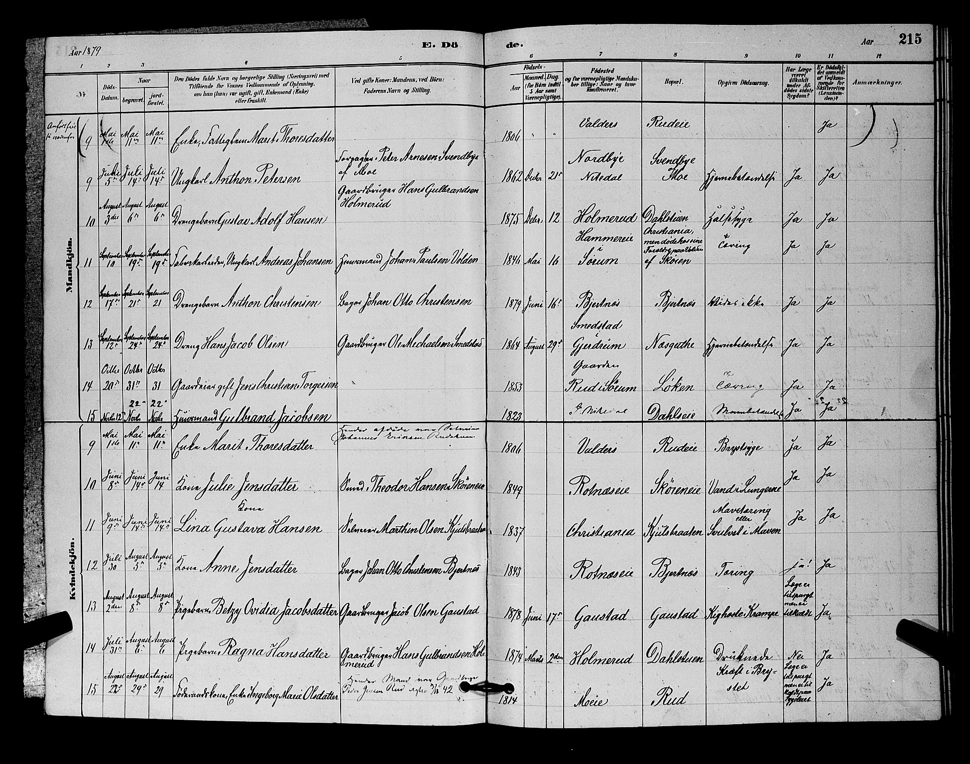 Nittedal prestekontor Kirkebøker, SAO/A-10365a/G/Ga/L0002: Parish register (copy) no. I 2, 1879-1901, p. 215