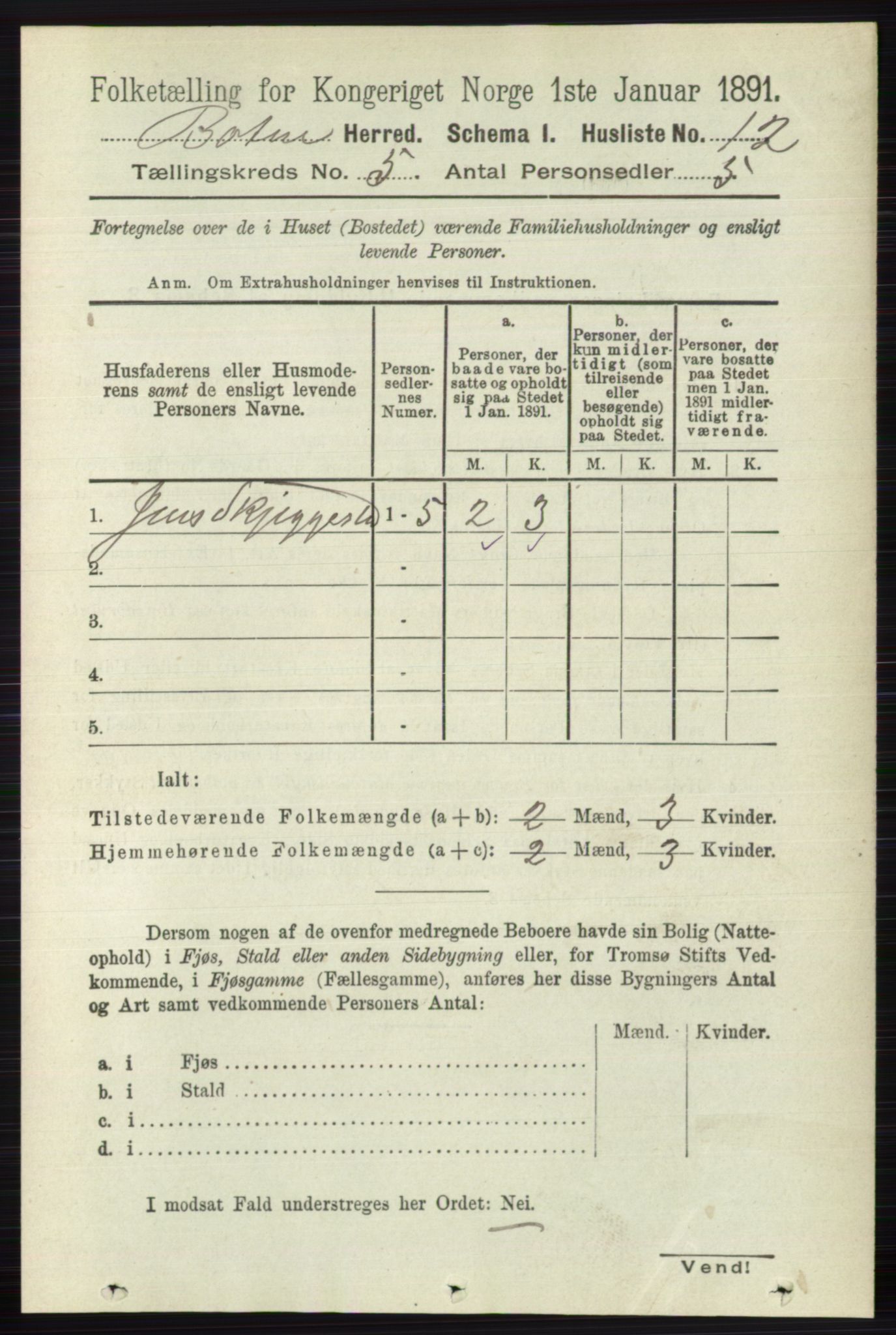 RA, 1891 census for 0715 Botne, 1891, p. 1910