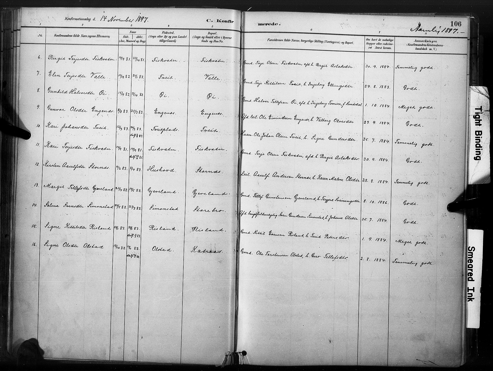 Åmli sokneprestkontor, SAK/1111-0050/F/Fa/Fac/L0010: Parish register (official) no. A 10 /1, 1885-1899, p. 106