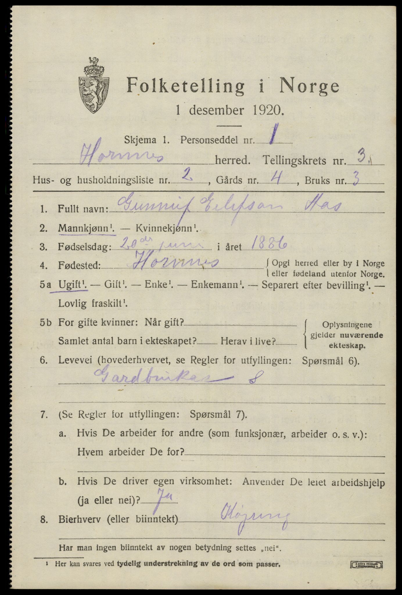 SAK, 1920 census for Hornnes, 1920, p. 817