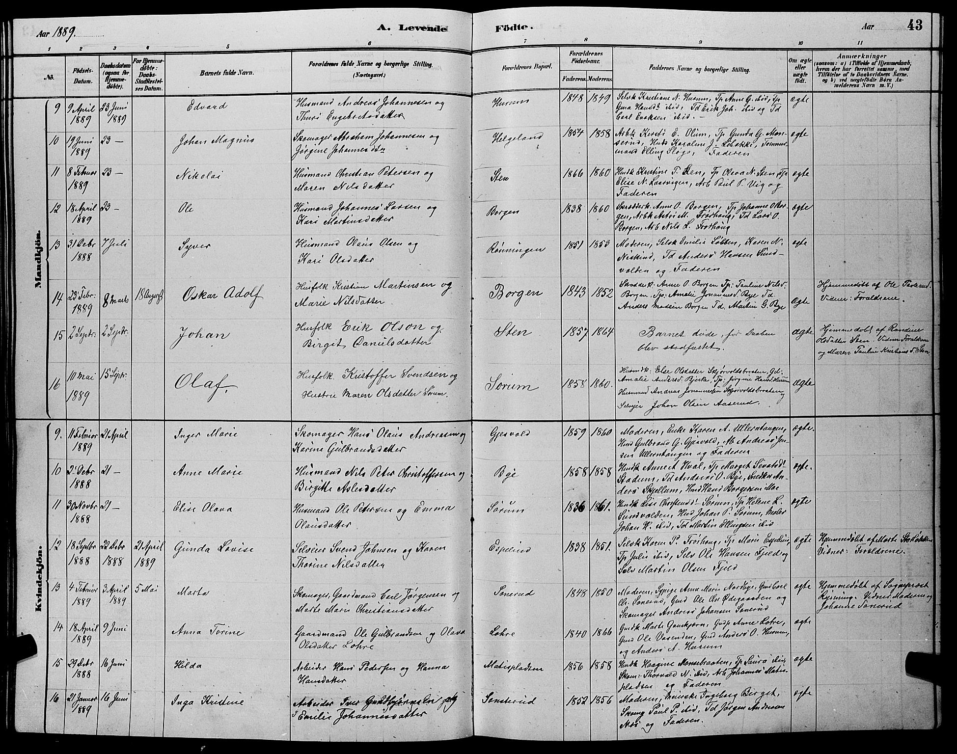 Hole kirkebøker, SAKO/A-228/G/Ga/L0003: Parish register (copy) no. I 3, 1879-1904, p. 43
