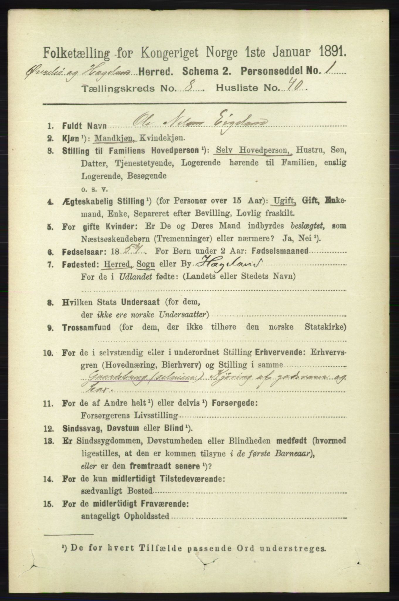 RA, 1891 census for 1016 Øvrebø og Hægeland, 1891, p. 1697