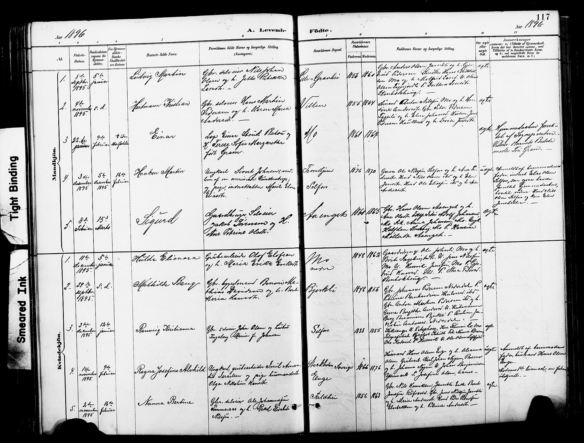 Ministerialprotokoller, klokkerbøker og fødselsregistre - Nordland, SAT/A-1459/827/L0421: Parish register (copy) no. 827C10, 1887-1906, p. 117