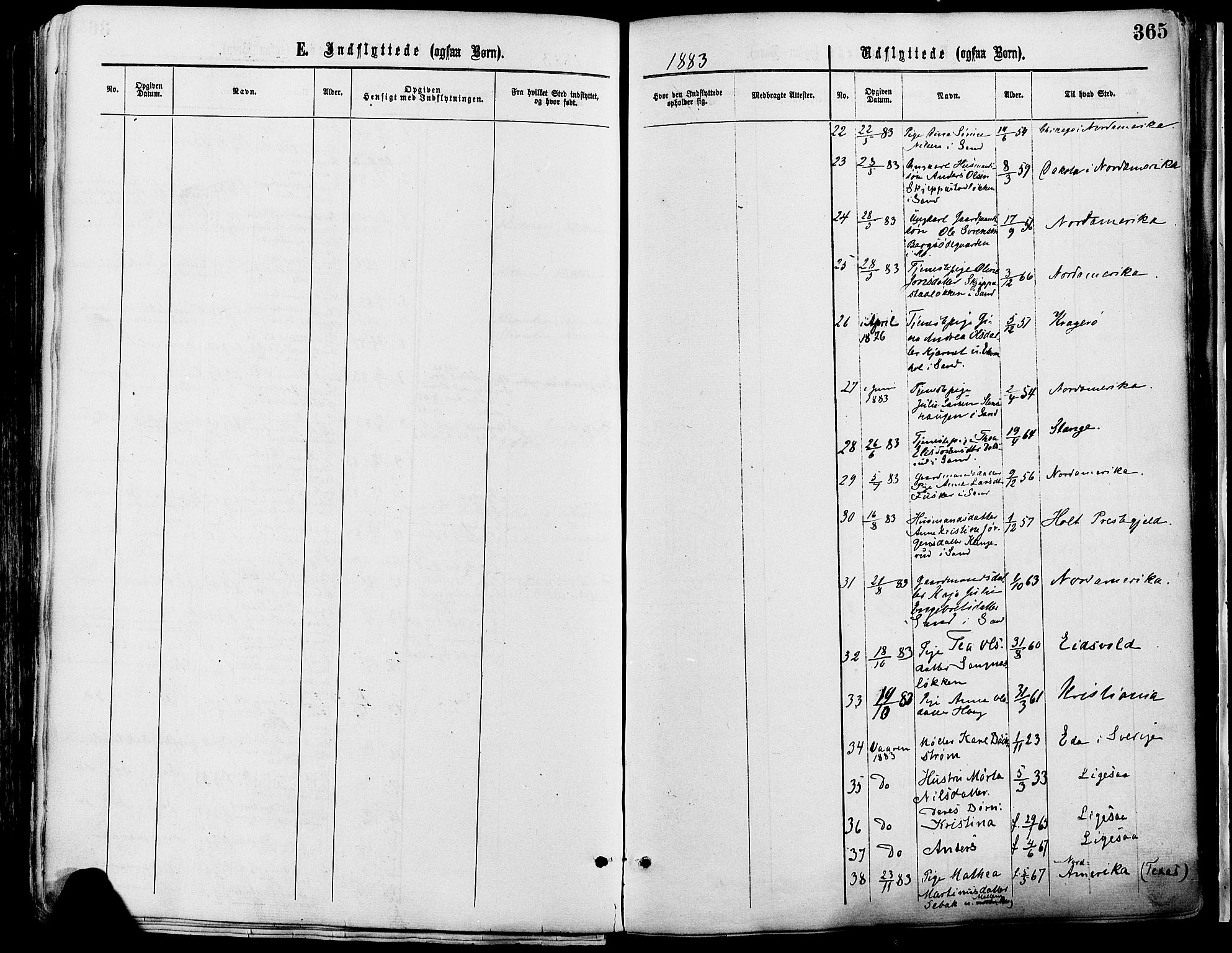 Nord-Odal prestekontor, AV/SAH-PREST-032/H/Ha/Haa/L0005: Parish register (official) no. 5, 1874-1885, p. 365