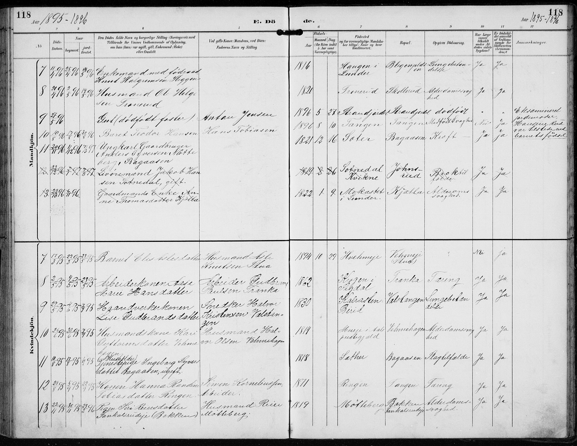 Lunder kirkebøker, SAKO/A-629/F/Fb/L0001: Parish register (official) no. II 1, 1893-1916, p. 118