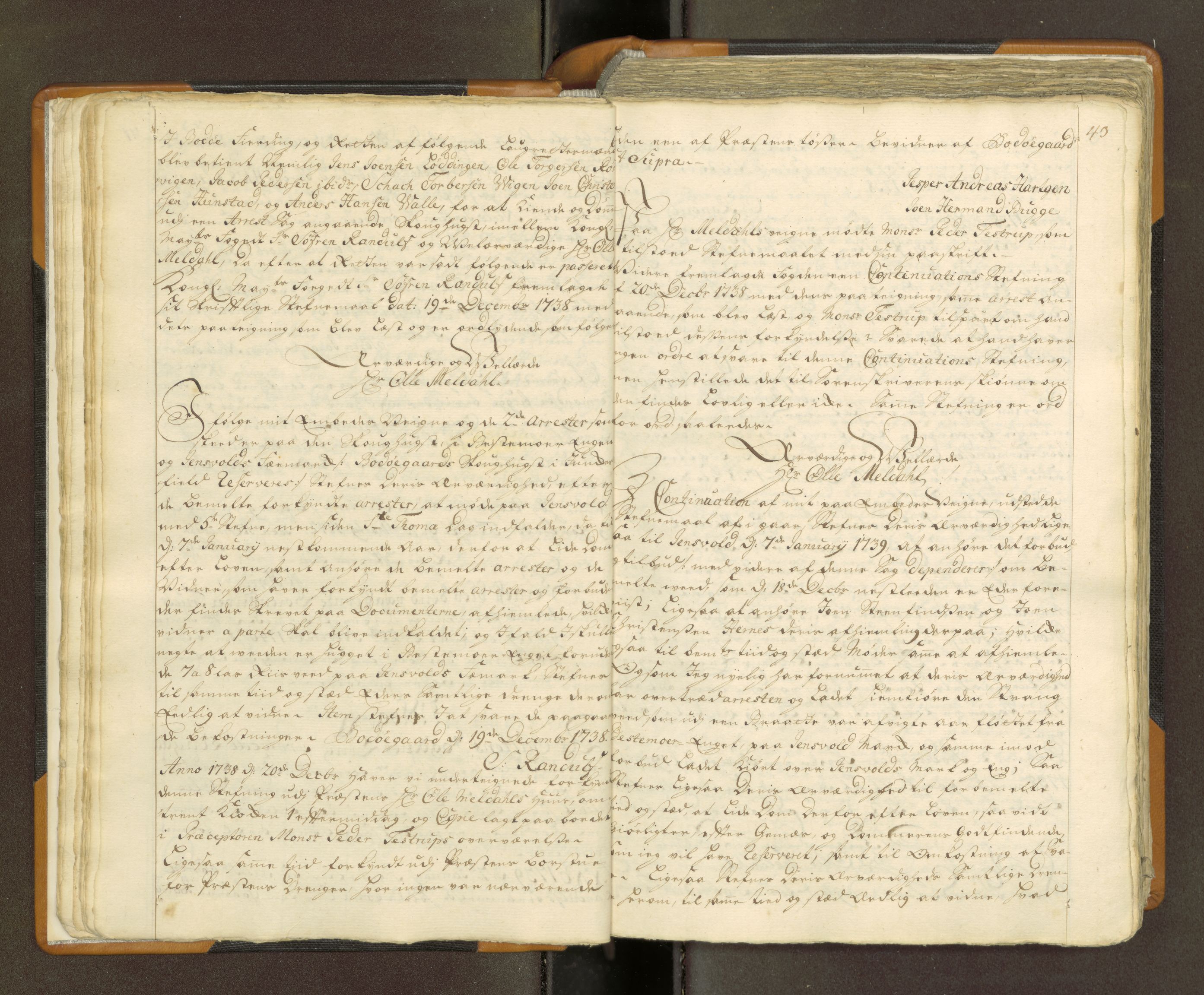 Nordland og Finnmarks lagstol, AV/SAT-A-5608/X/L0010: Domkopibok/justisprotokoll, 1742-1743, p. 42-43
