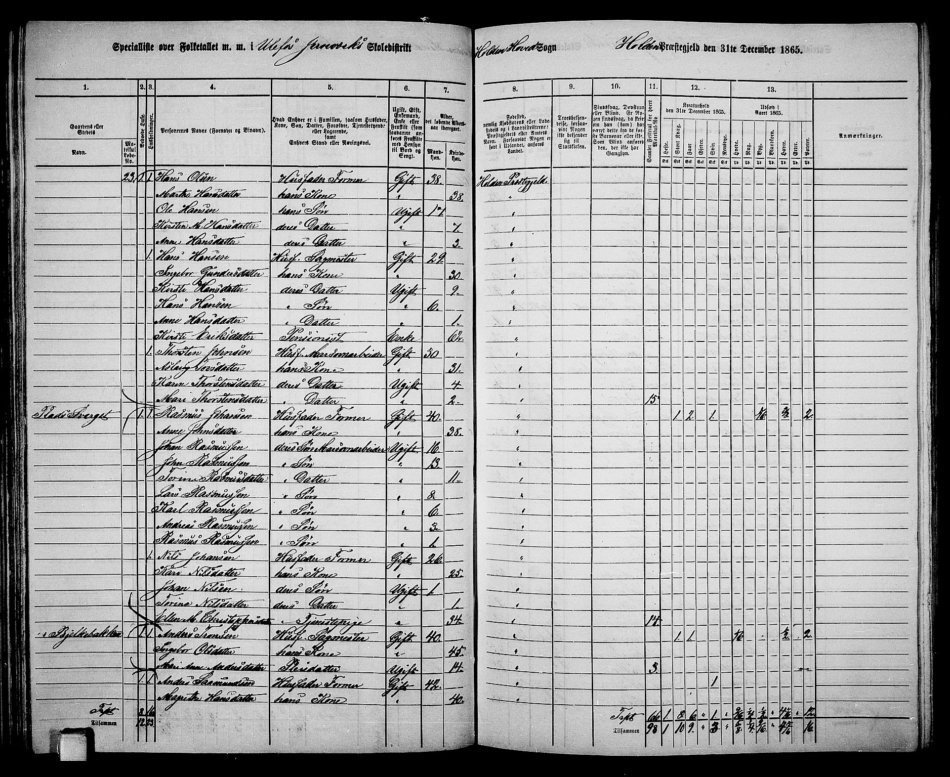 RA, 1865 census for Holla, 1865, p. 50