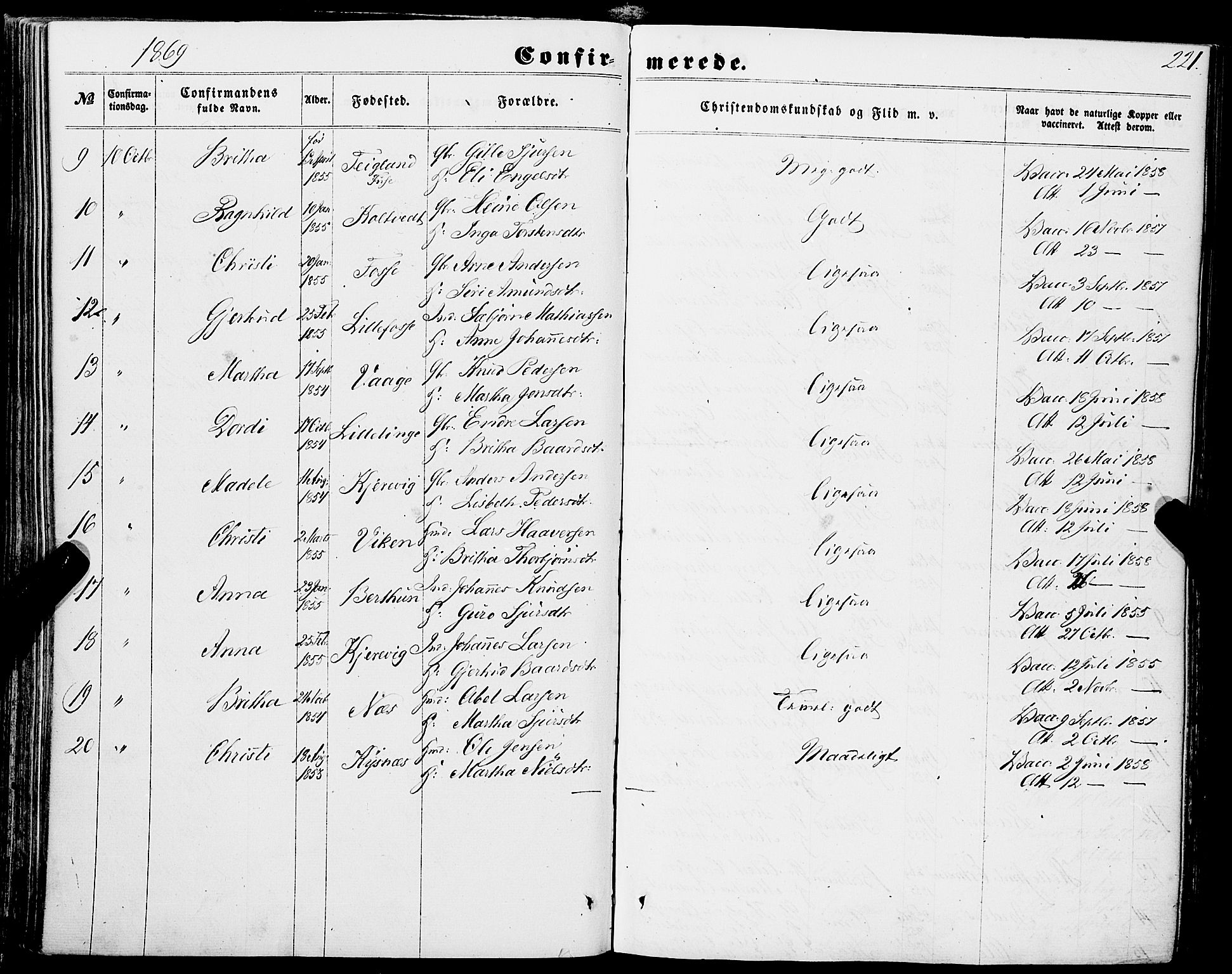 Strandebarm sokneprestembete, AV/SAB-A-78401/H/Haa: Parish register (official) no. A 8, 1858-1872, p. 221