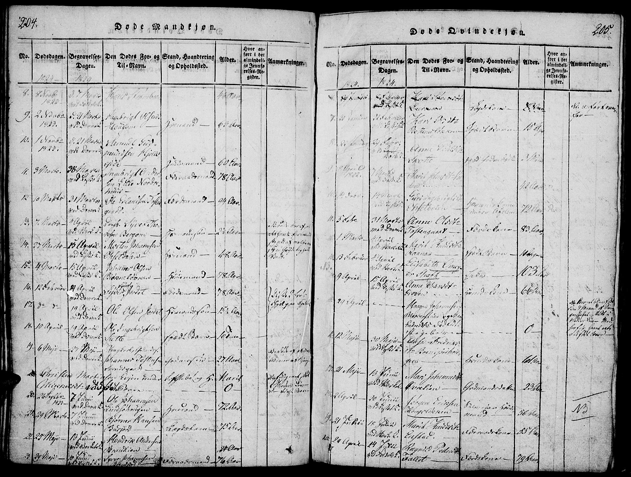 Lesja prestekontor, SAH/PREST-068/H/Ha/Haa/L0004: Parish register (official) no. 4, 1820-1829, p. 204-205