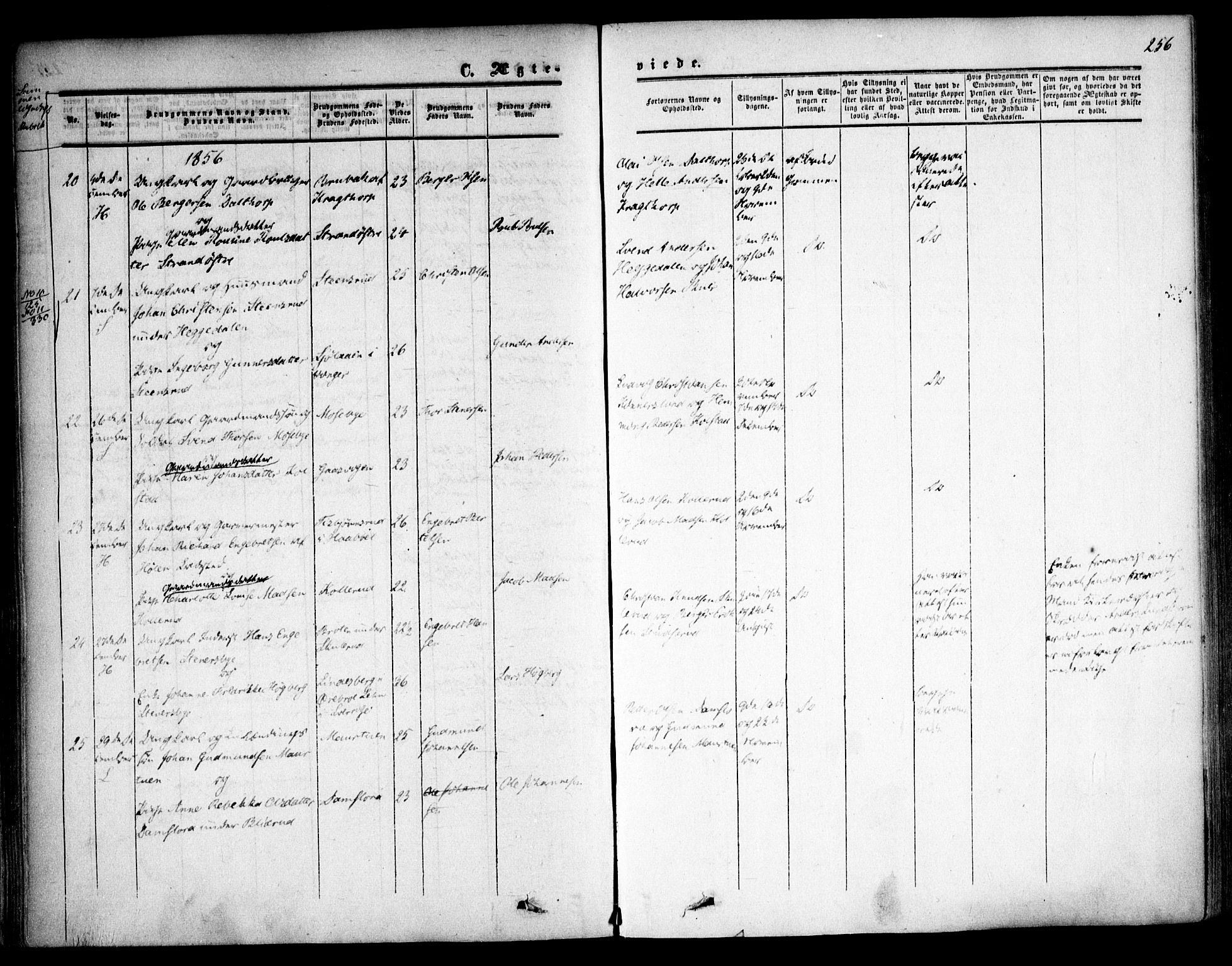 Høland prestekontor Kirkebøker, AV/SAO-A-10346a/F/Fa/L0010: Parish register (official) no. I 10, 1854-1861, p. 256