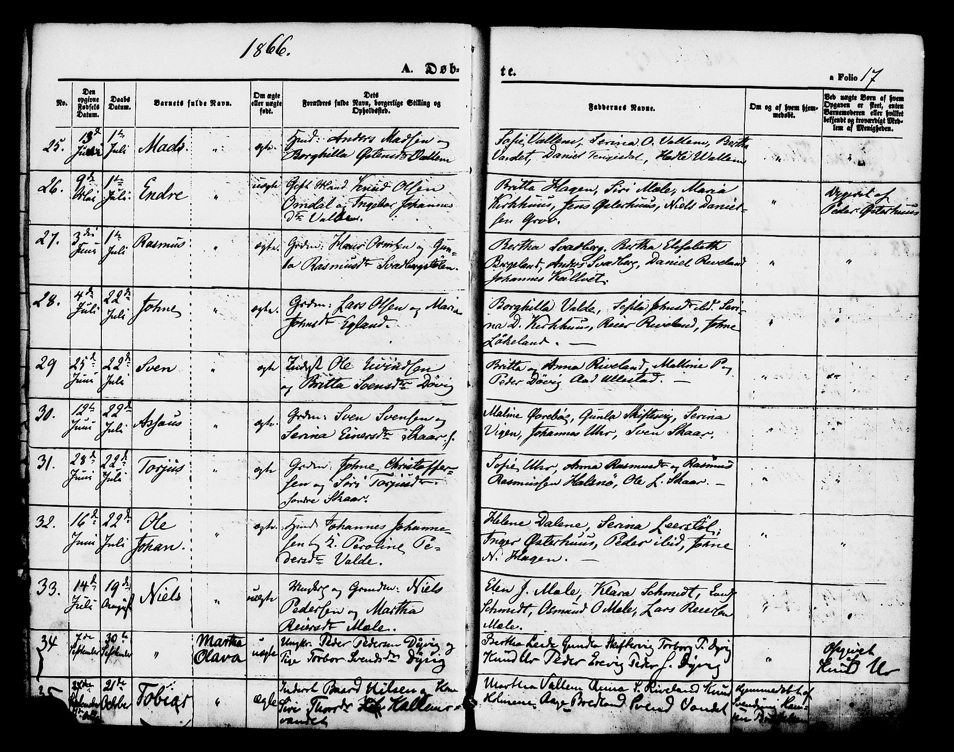 Hjelmeland sokneprestkontor, AV/SAST-A-101843/01/IV/L0012: Parish register (official) no. A 12, 1862-1886, p. 17