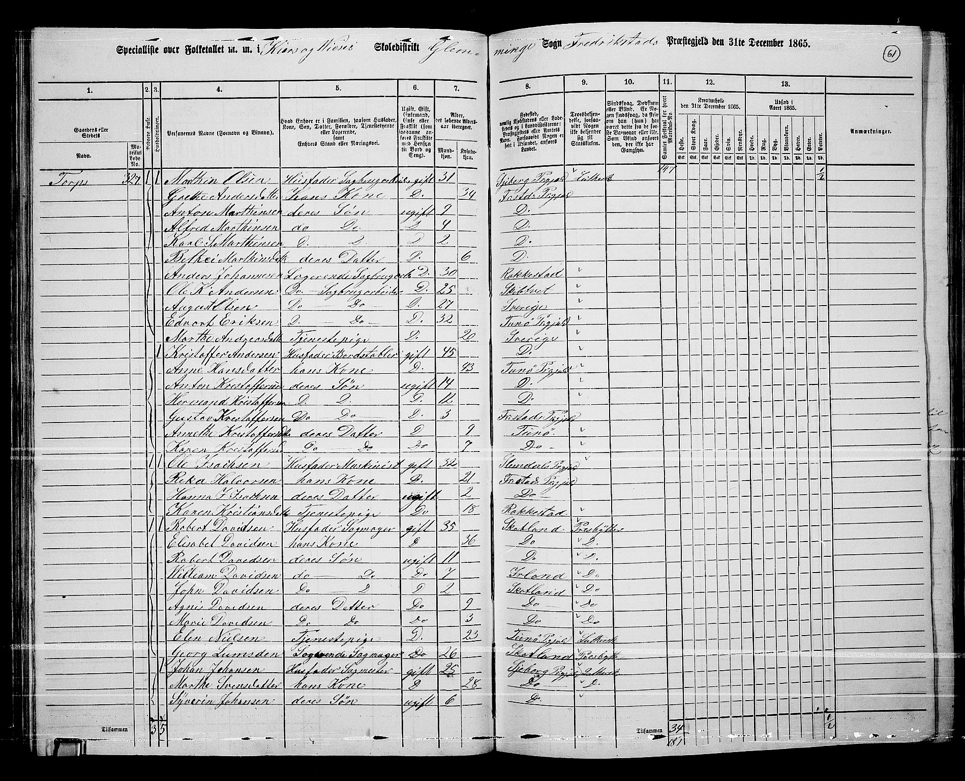 RA, 1865 census for Fredrikstad/Glemmen, 1865, p. 59