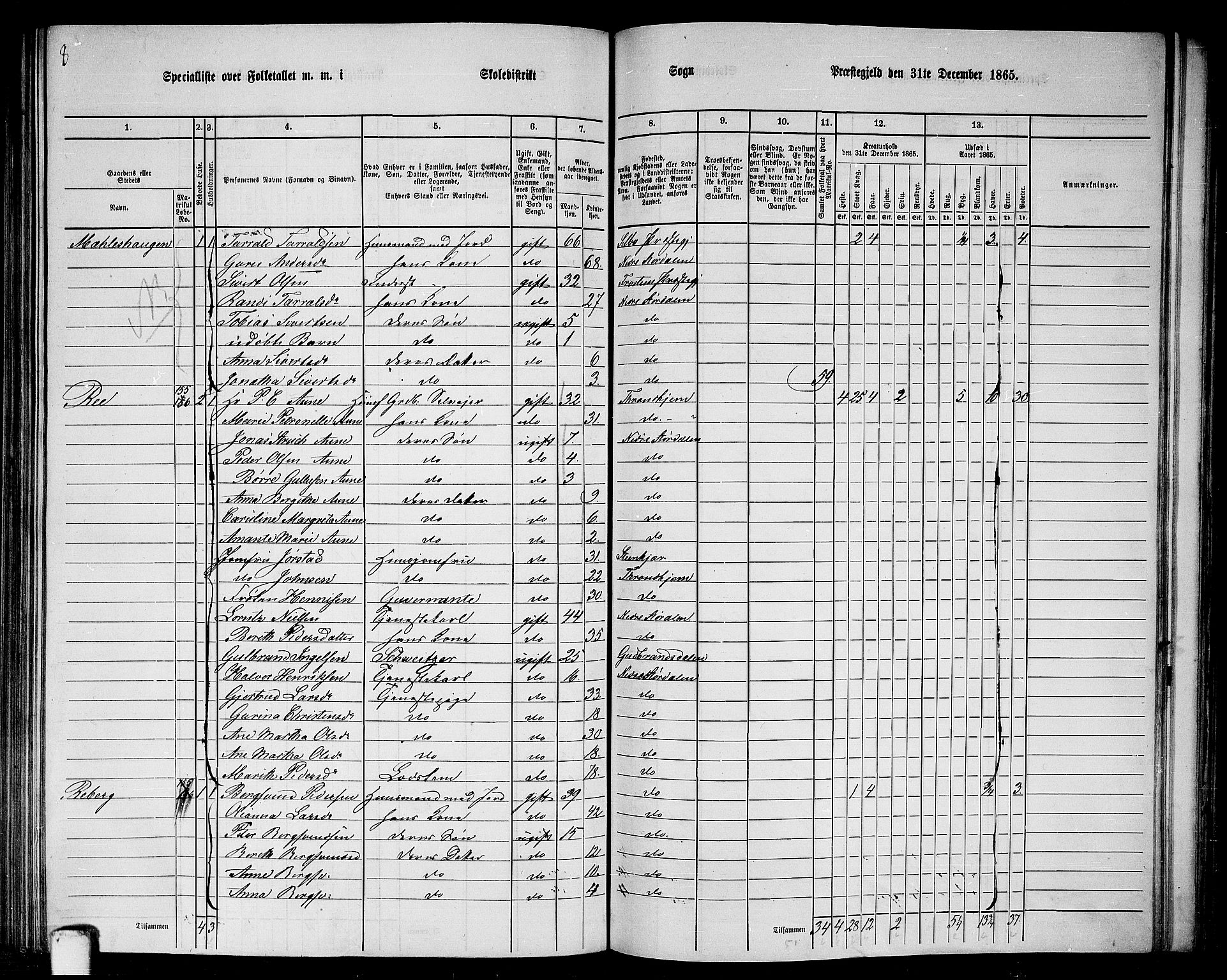 RA, 1865 census for Nedre Stjørdal, 1865, p. 196