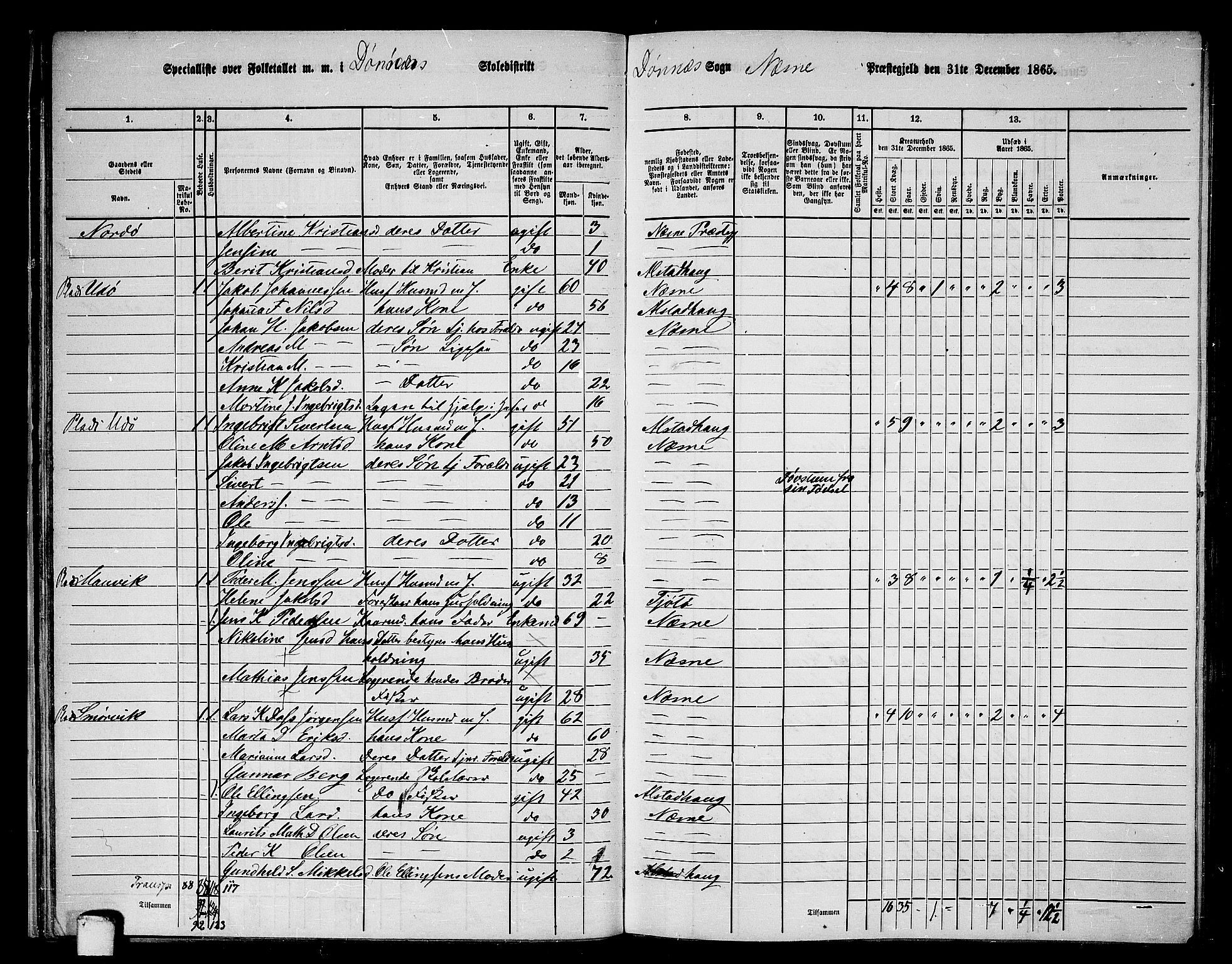 RA, 1865 census for Nesna, 1865, p. 33