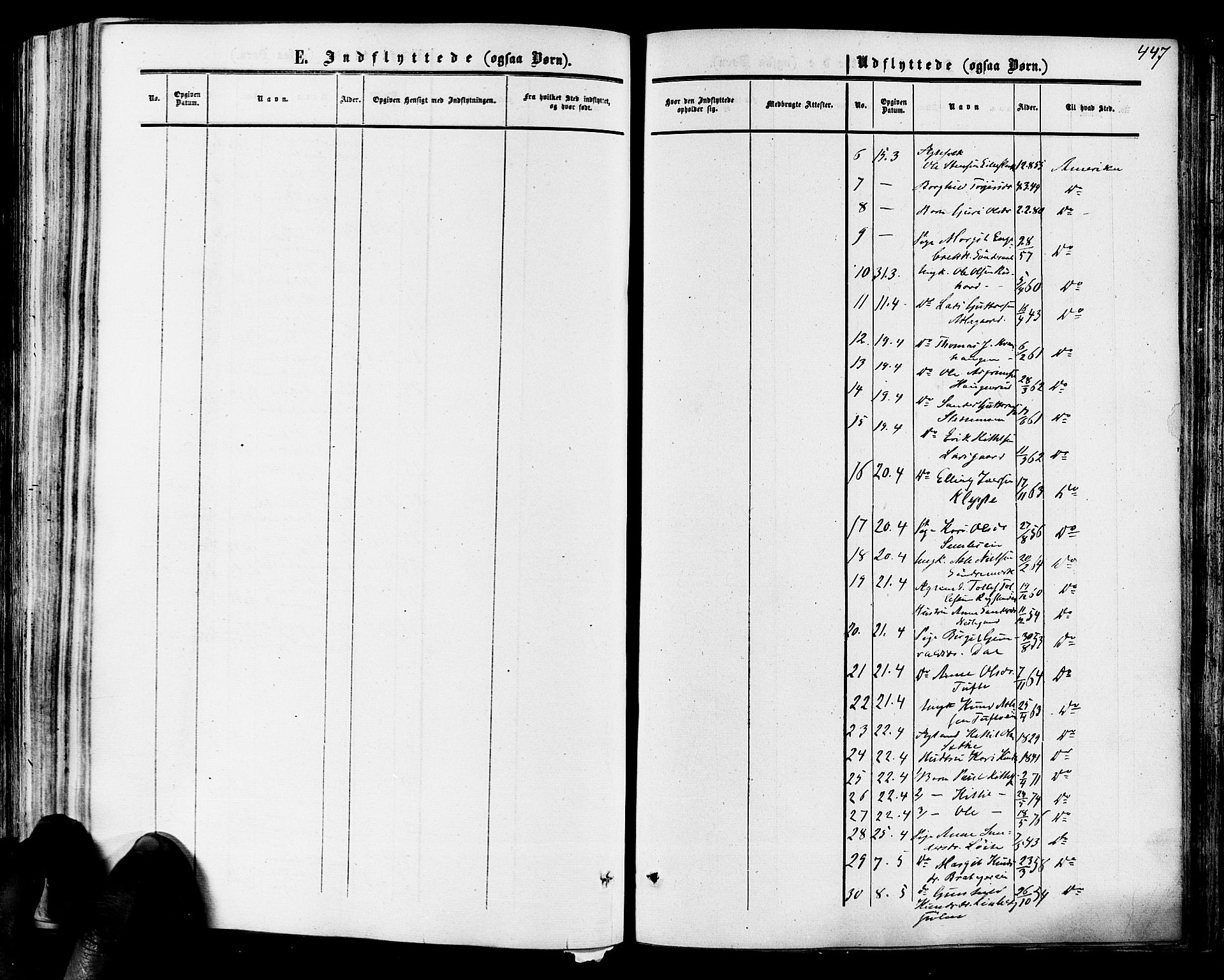 Hol kirkebøker, AV/SAKO-A-227/F/Fa/L0002: Parish register (official) no. I 2, 1870-1886, p. 447