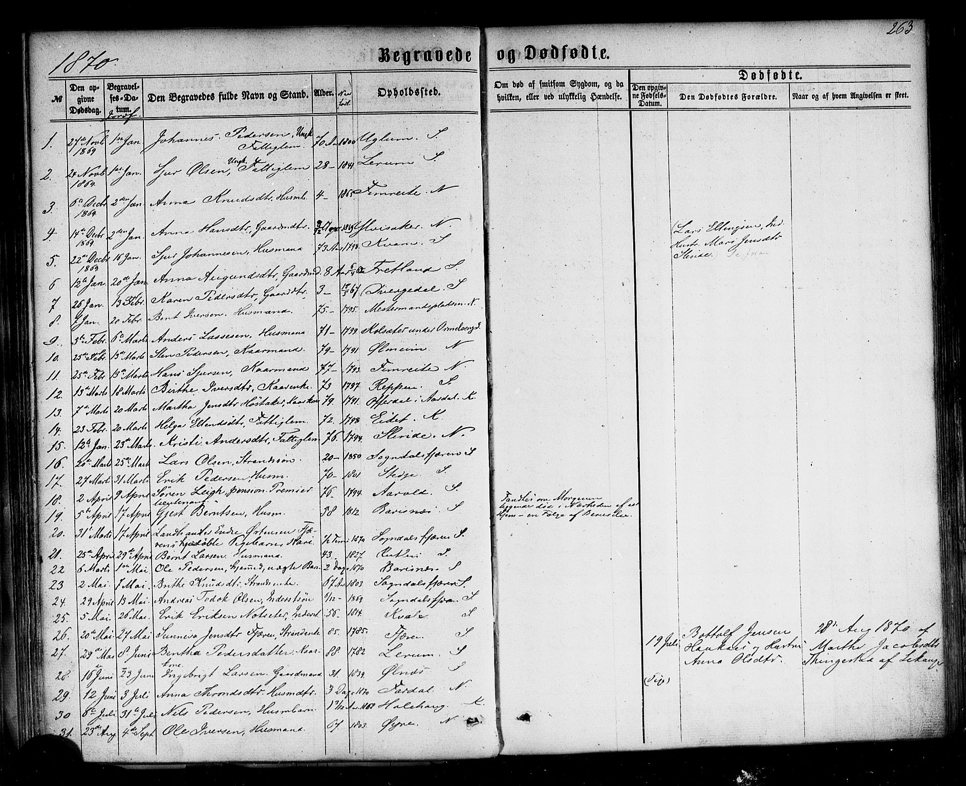 Sogndal sokneprestembete, AV/SAB-A-81301/H/Haa/Haaa/L0013: Parish register (official) no. A 13, 1859-1877, p. 263