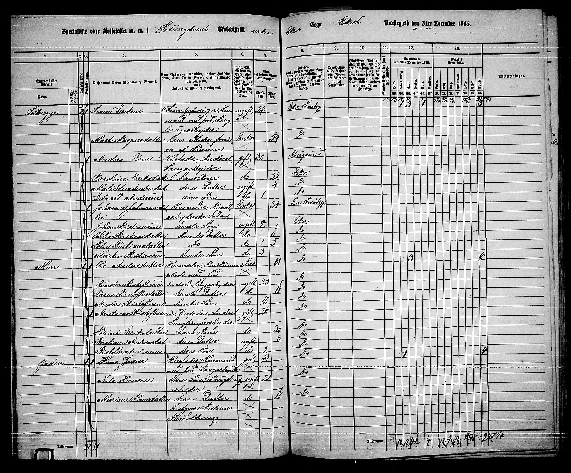 RA, 1865 census for Eiker, 1865, p. 348