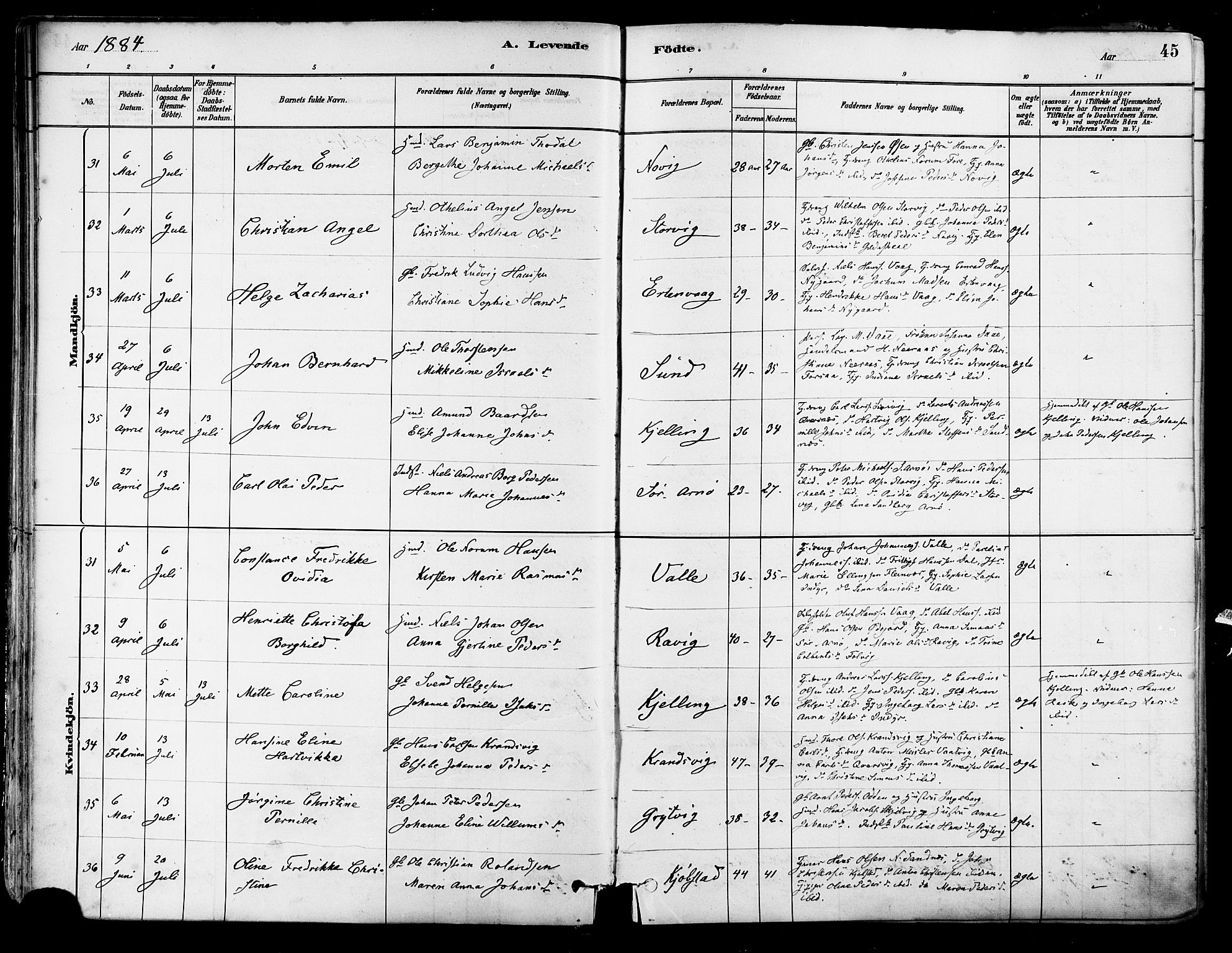 Ministerialprotokoller, klokkerbøker og fødselsregistre - Nordland, SAT/A-1459/805/L0099: Parish register (official) no. 805A06, 1880-1891, p. 45