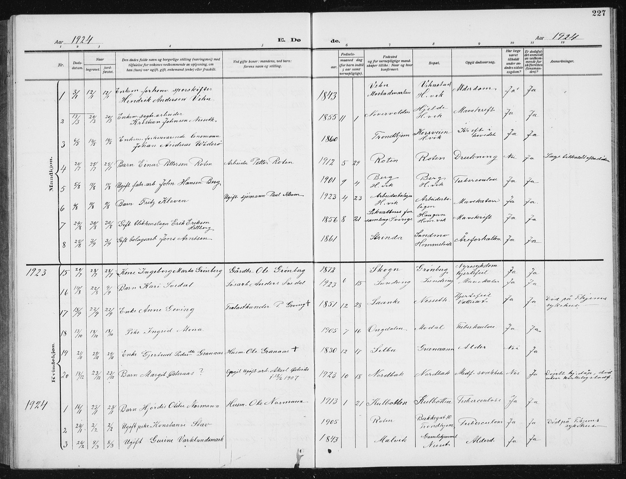 Ministerialprotokoller, klokkerbøker og fødselsregistre - Sør-Trøndelag, SAT/A-1456/617/L0431: Parish register (copy) no. 617C02, 1910-1936, p. 227