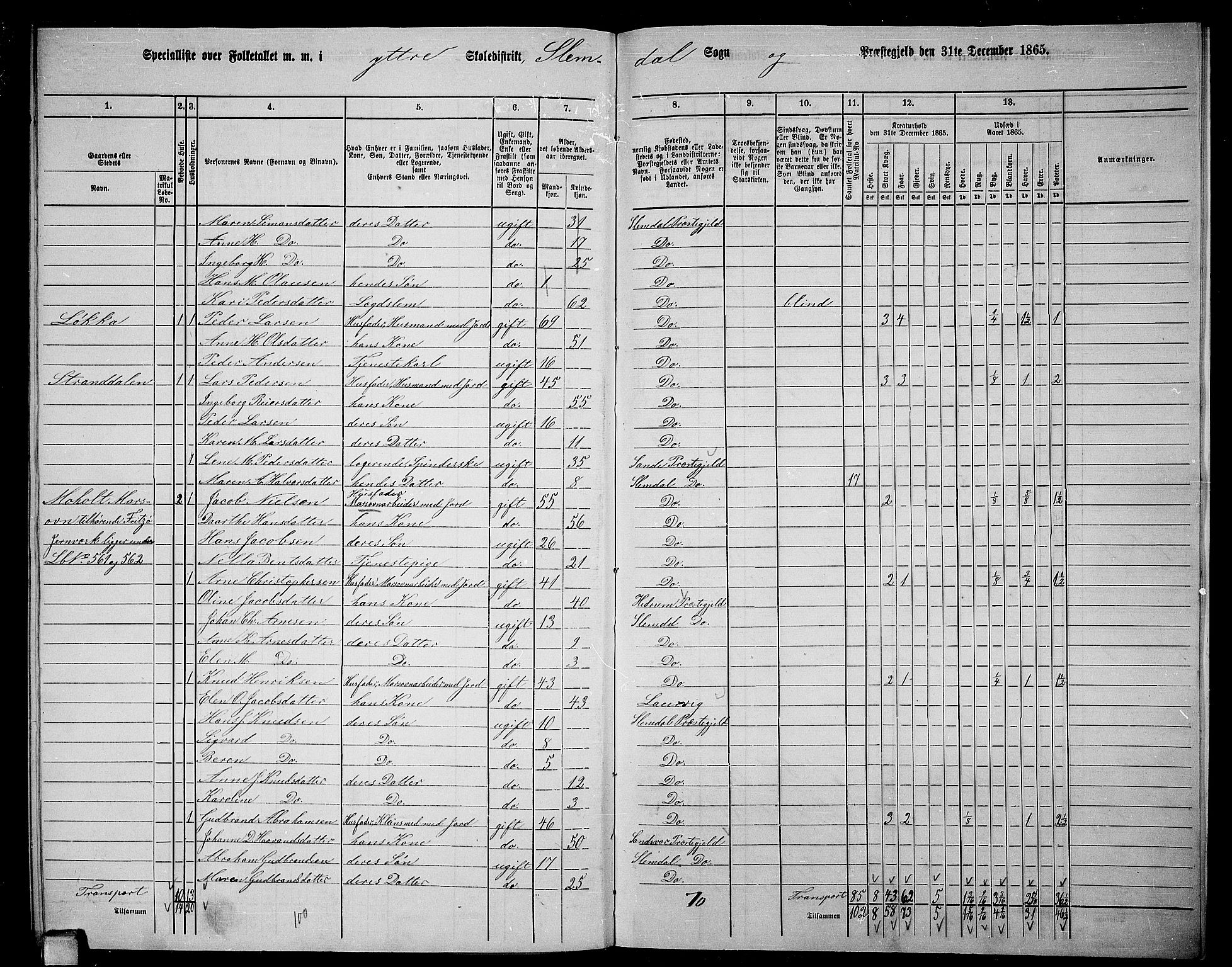 RA, 1865 census for Slemdal, 1865, p. 41