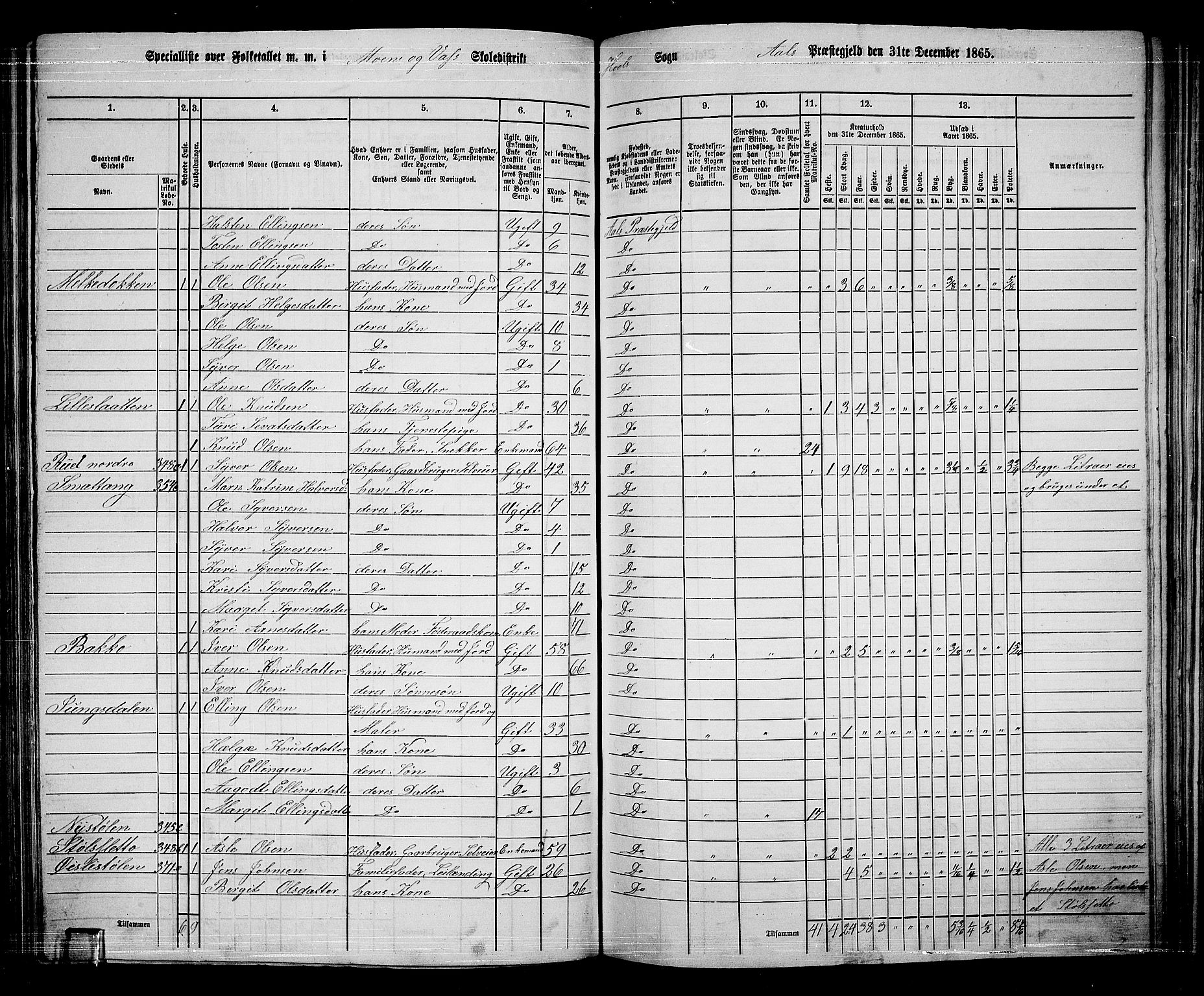 RA, 1865 census for Ål, 1865, p. 174