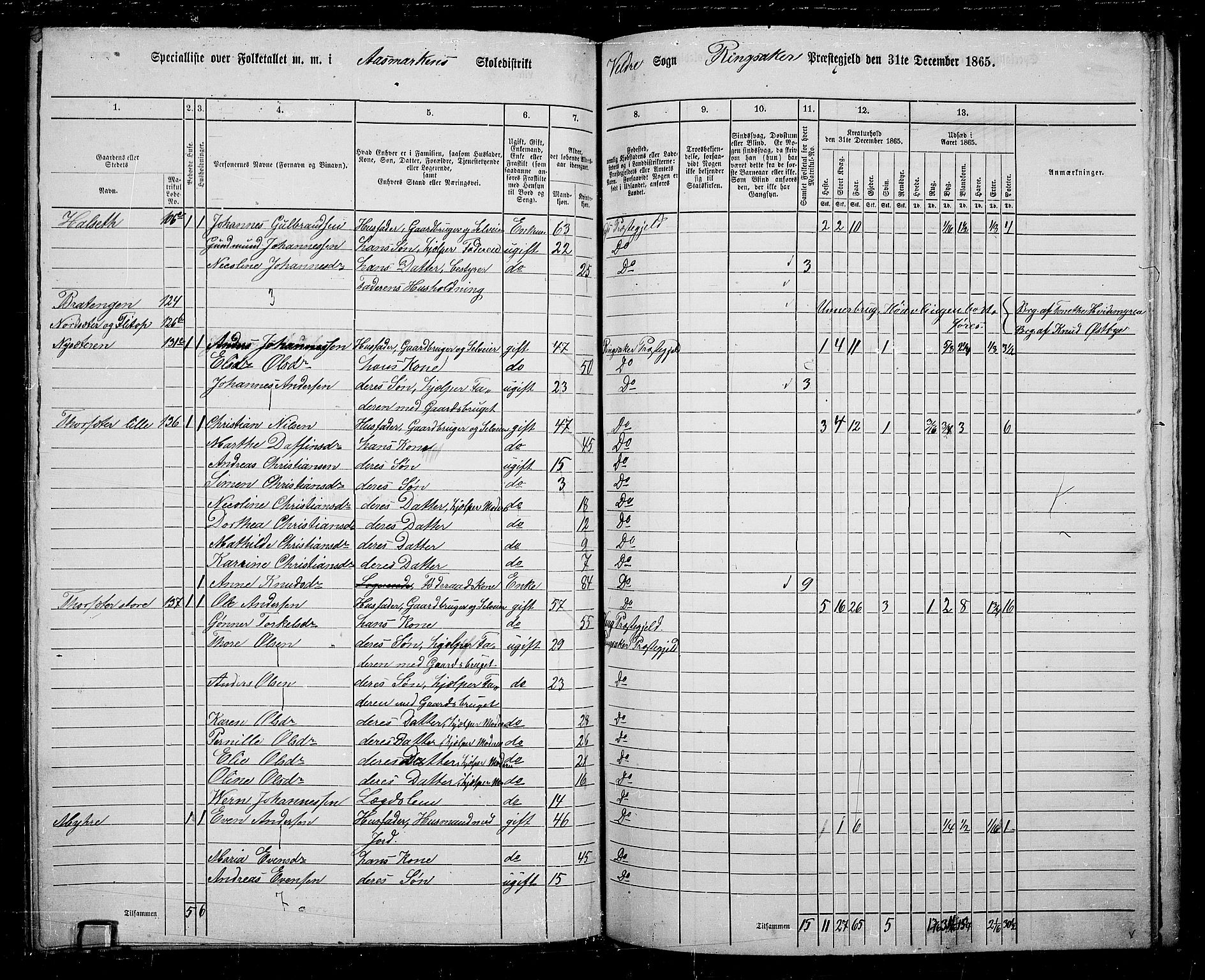 RA, 1865 census for Ringsaker, 1865, p. 203