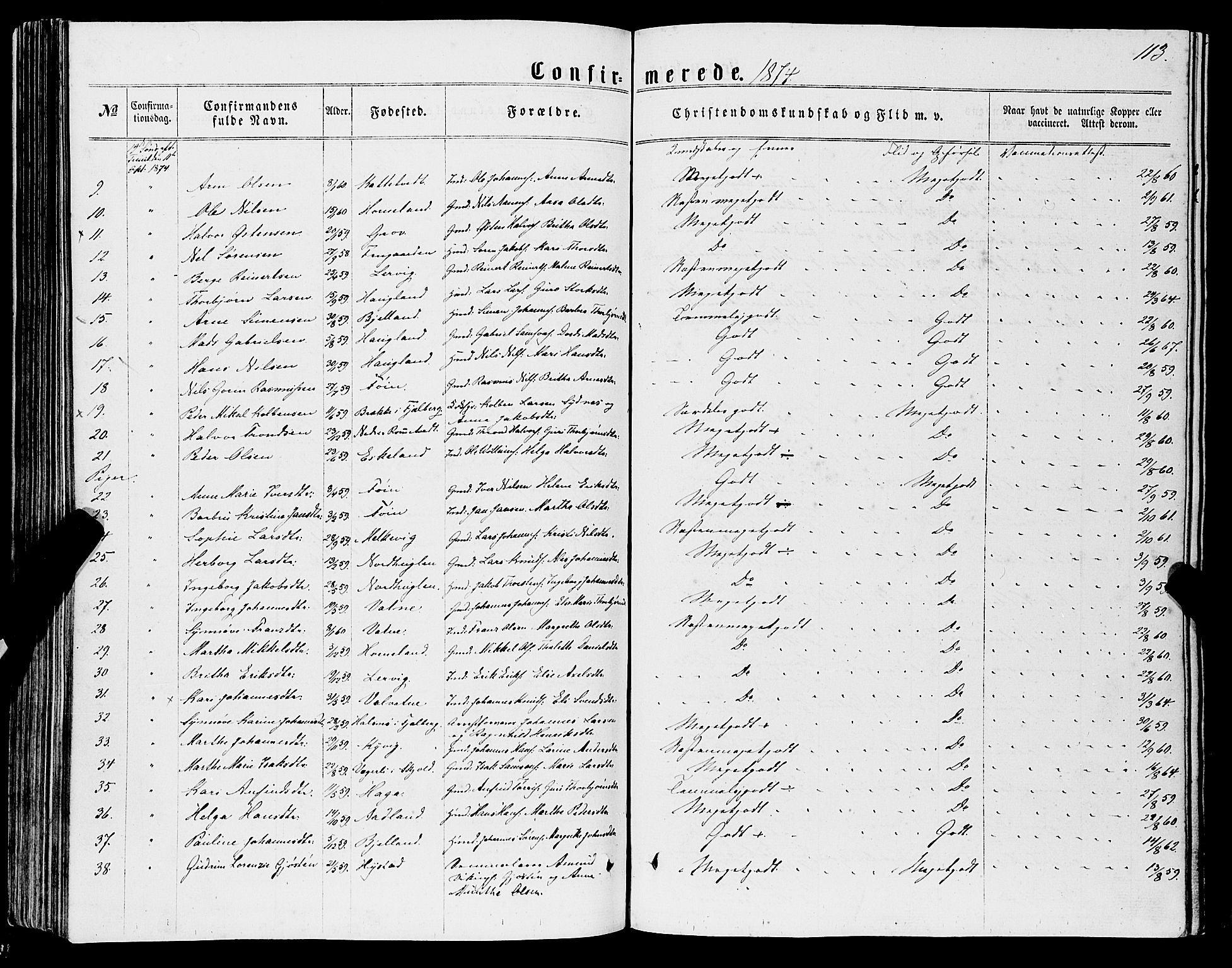 Stord sokneprestembete, AV/SAB-A-78201/H/Haa: Parish register (official) no. B 1, 1862-1877, p. 113