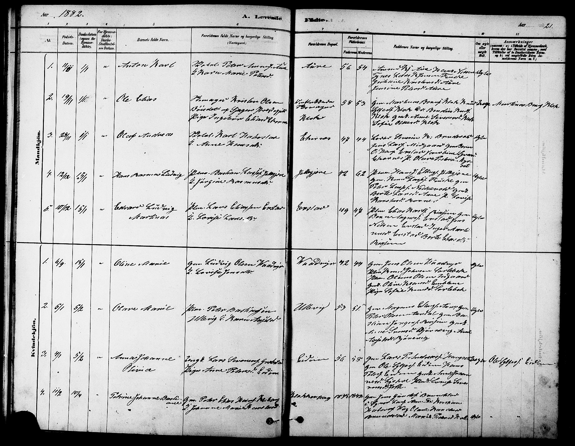 Ministerialprotokoller, klokkerbøker og fødselsregistre - Møre og Romsdal, AV/SAT-A-1454/523/L0339: Parish register (copy) no. 523C02, 1878-1891, p. 21