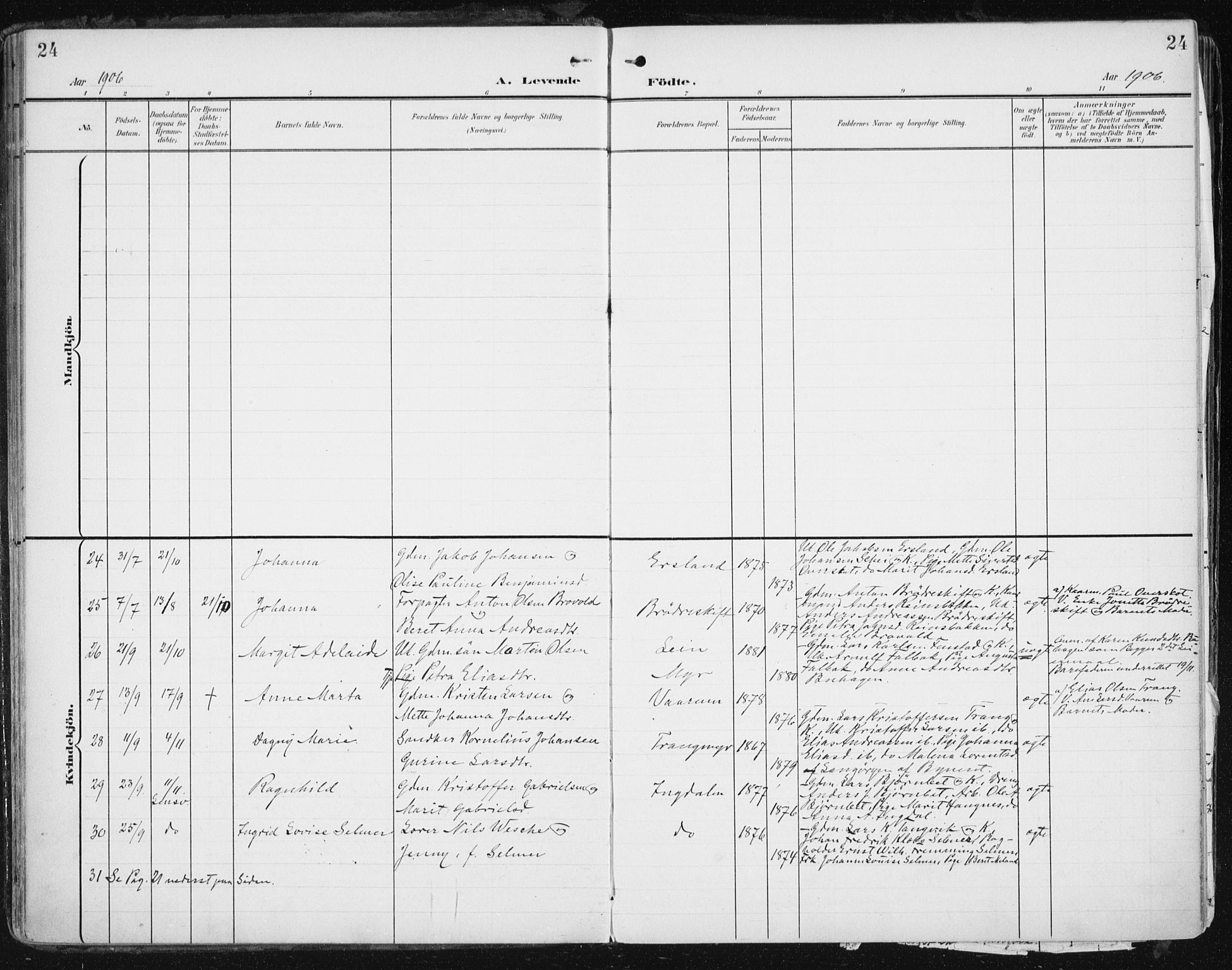 Ministerialprotokoller, klokkerbøker og fødselsregistre - Sør-Trøndelag, SAT/A-1456/646/L0616: Parish register (official) no. 646A14, 1900-1918, p. 24