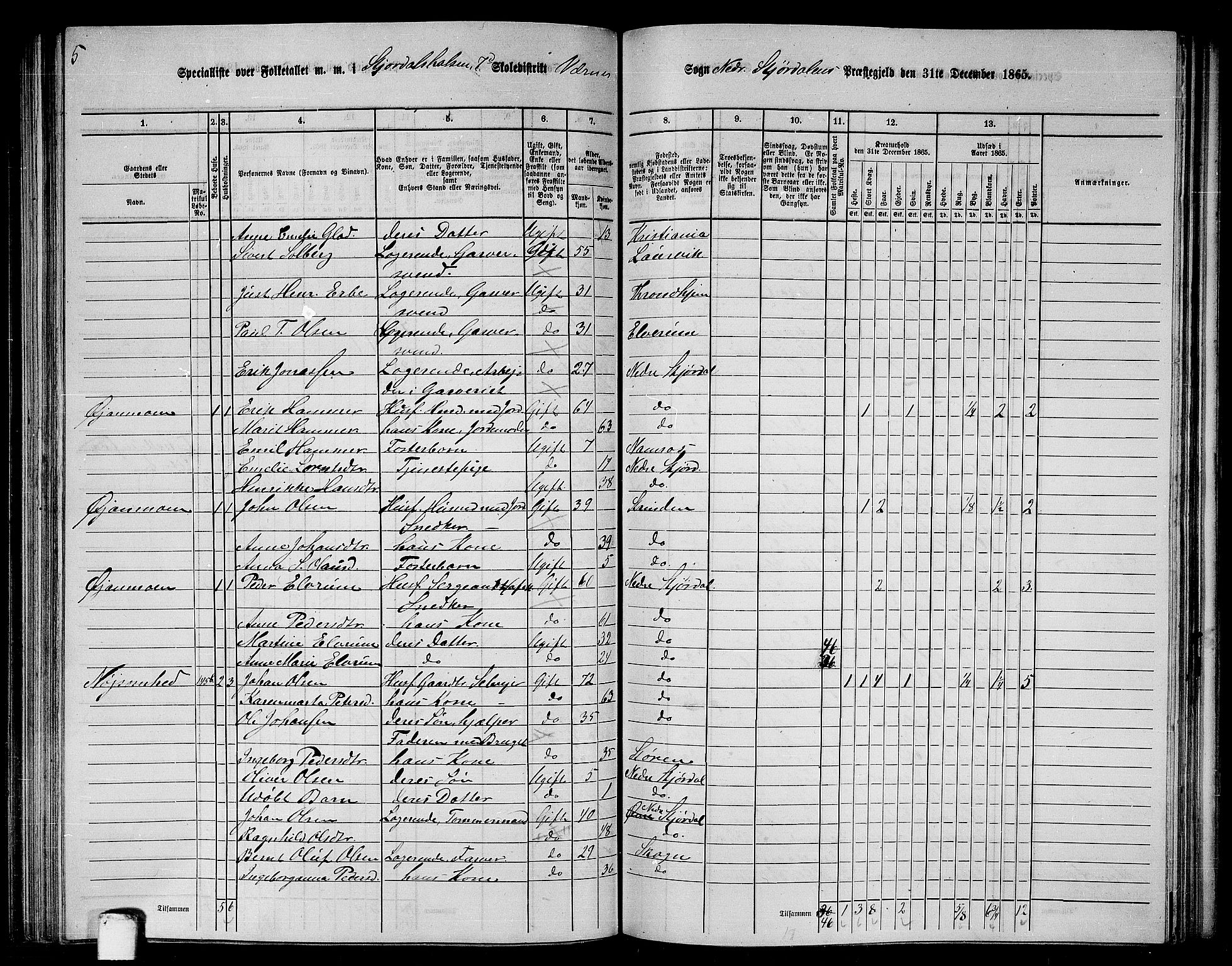 RA, 1865 census for Nedre Stjørdal, 1865, p. 169