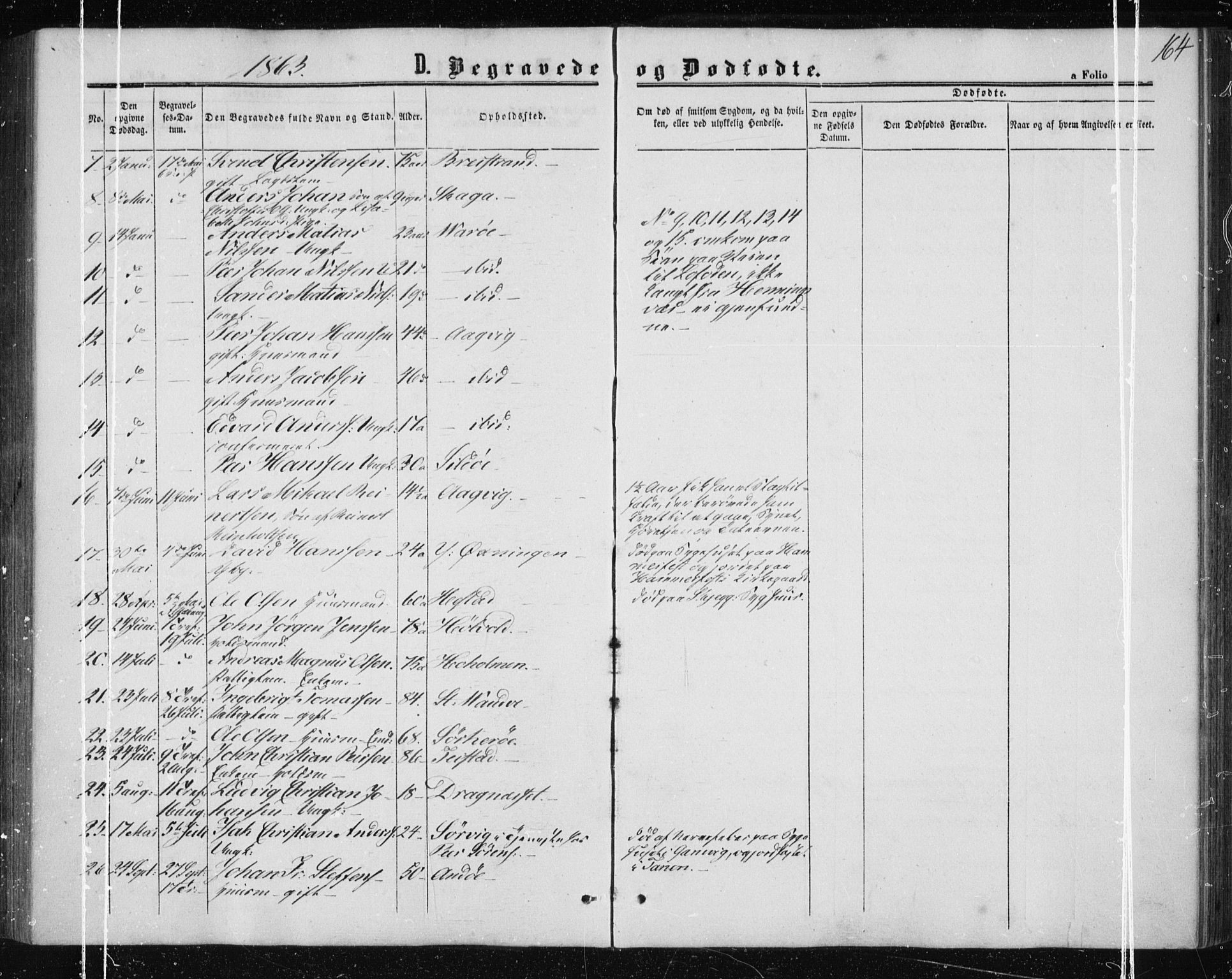 Ministerialprotokoller, klokkerbøker og fødselsregistre - Nordland, AV/SAT-A-1459/834/L0505: Parish register (official) no. 834A03, 1862-1871, p. 164