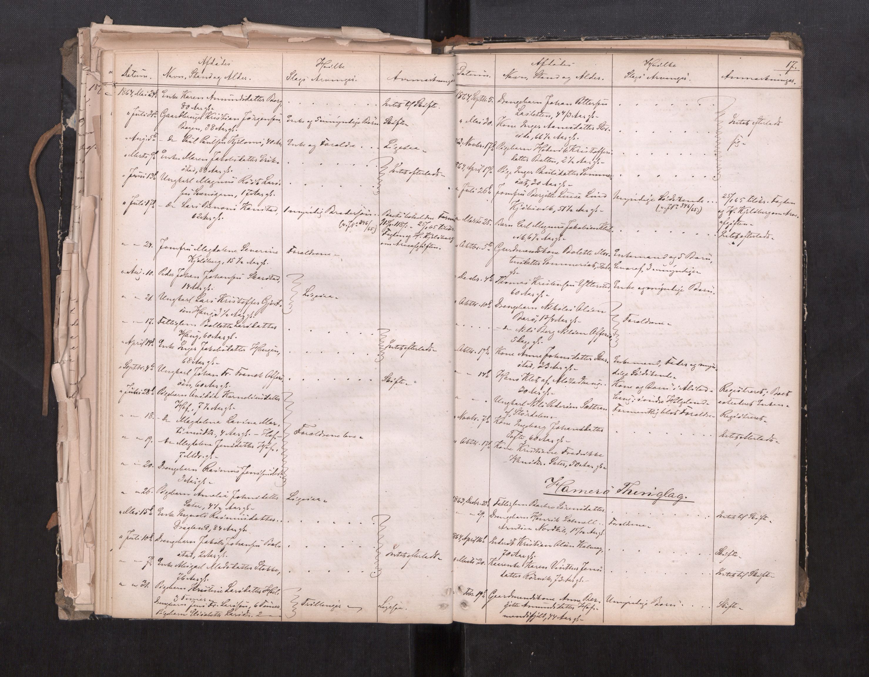 Salten sorenskriveri, AV/SAT-A-4578/1/3/3L/L0001: Dødsfallprotokoll, 1863-1876, p. 17