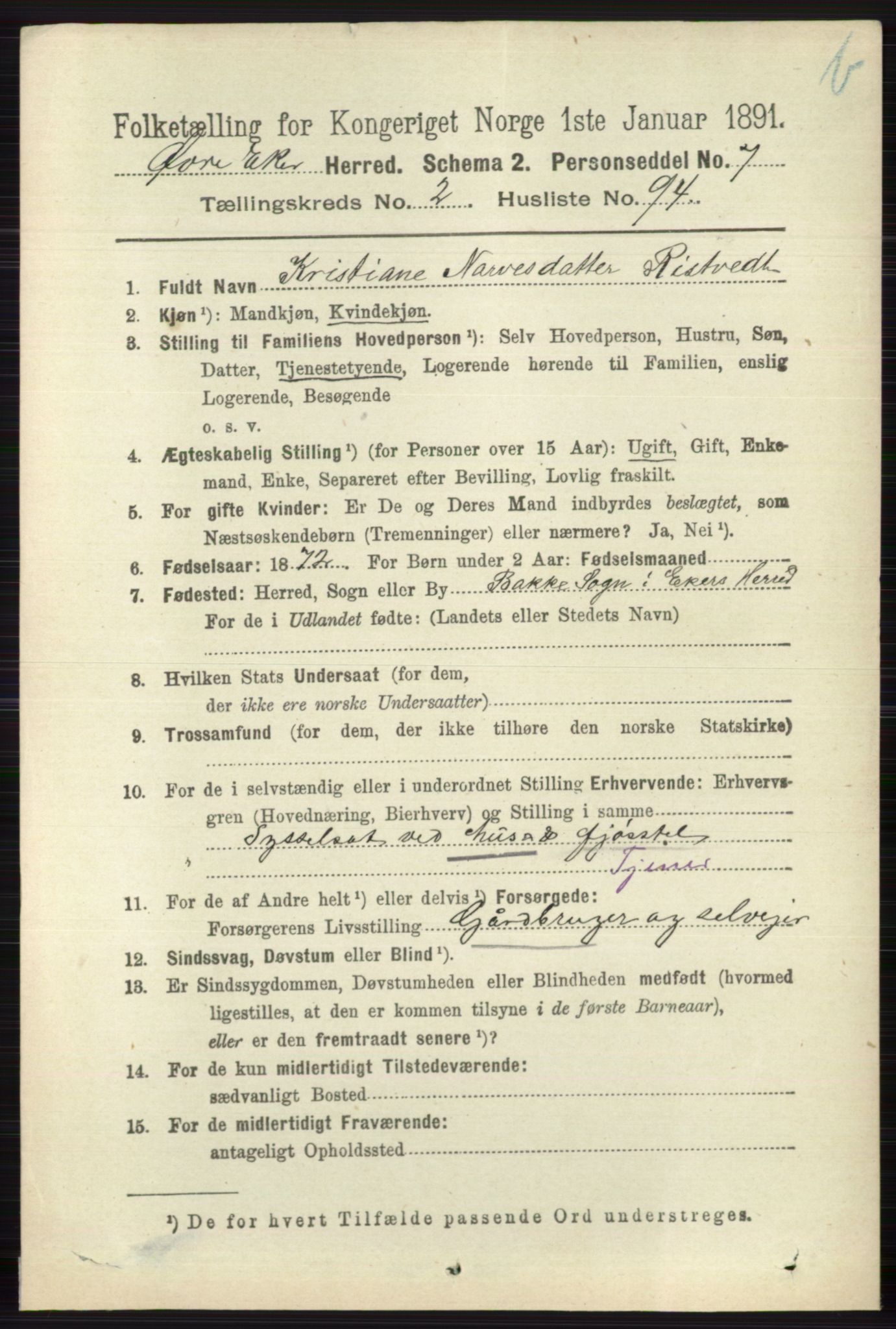 RA, 1891 census for 0624 Øvre Eiker, 1891, p. 8999