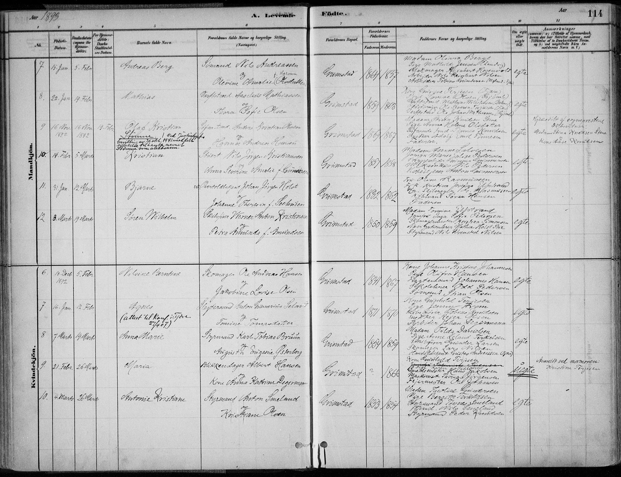 Grimstad sokneprestkontor, SAK/1111-0017/F/Fa/L0003: Parish register (official) no. A 2, 1882-1912, p. 114