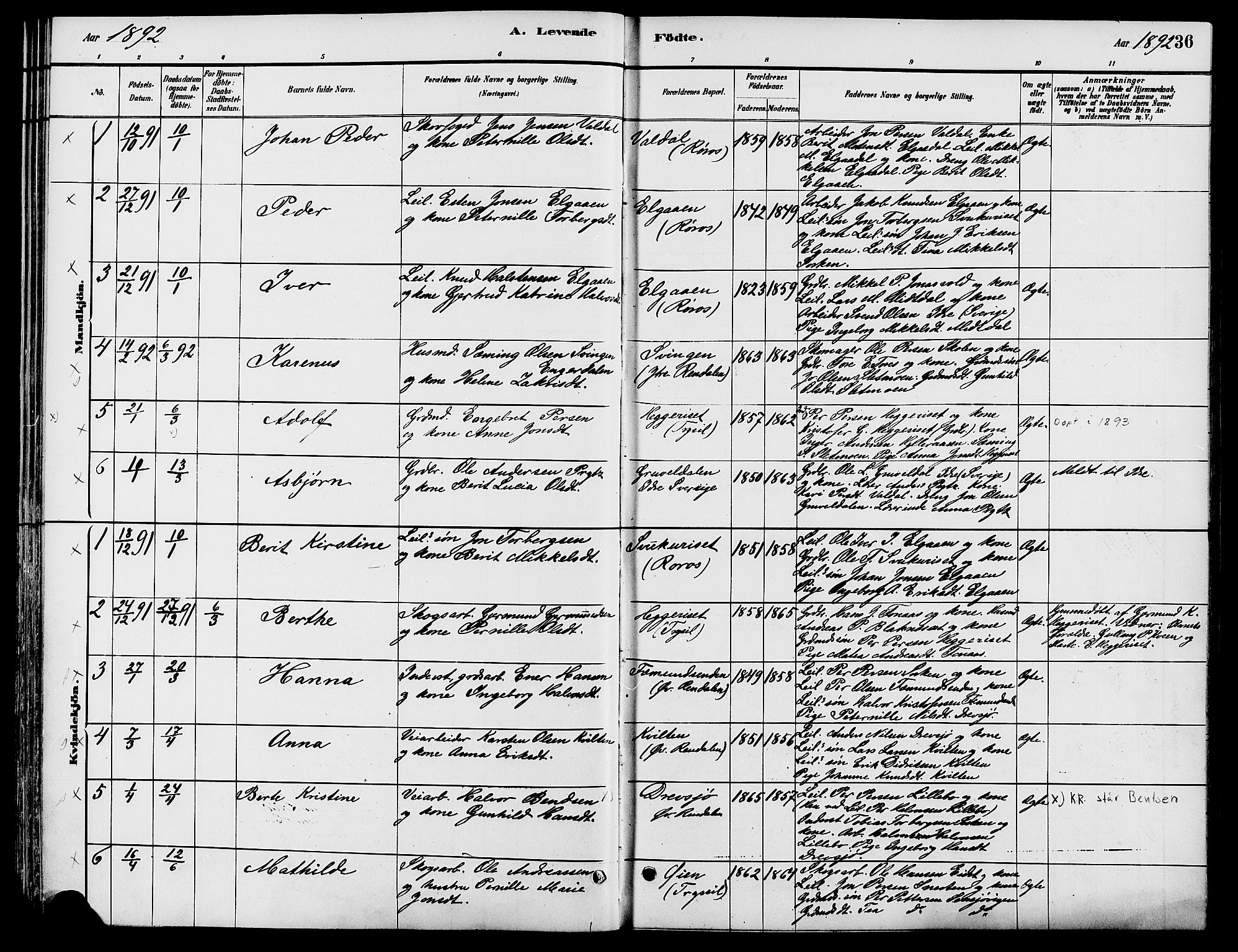 Engerdal prestekontor, AV/SAH-PREST-048/H/Ha/Haa/L0001: Parish register (official) no. 1, 1881-1898, p. 36