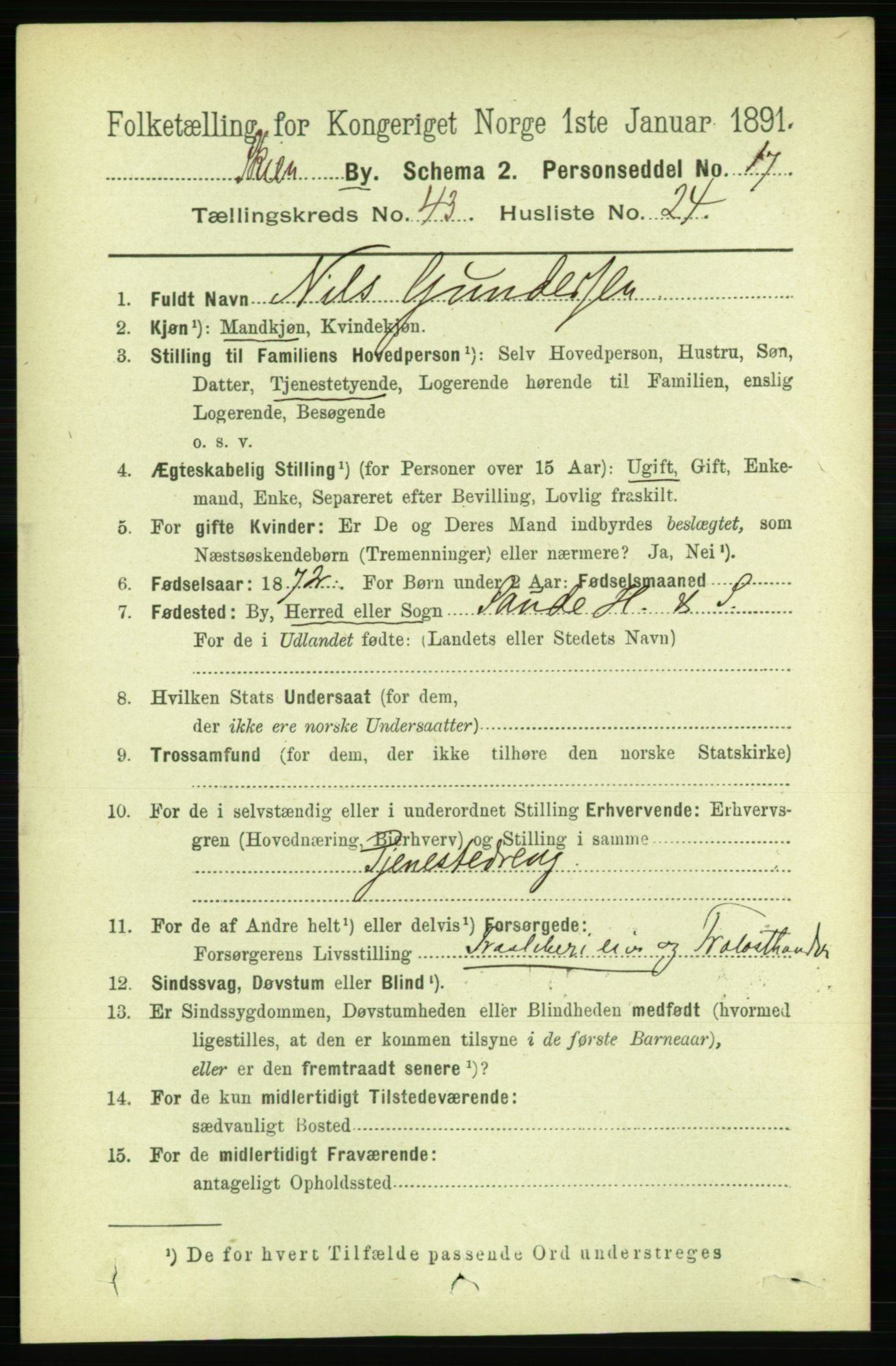 RA, 1891 census for 0806 Skien, 1891, p. 8763