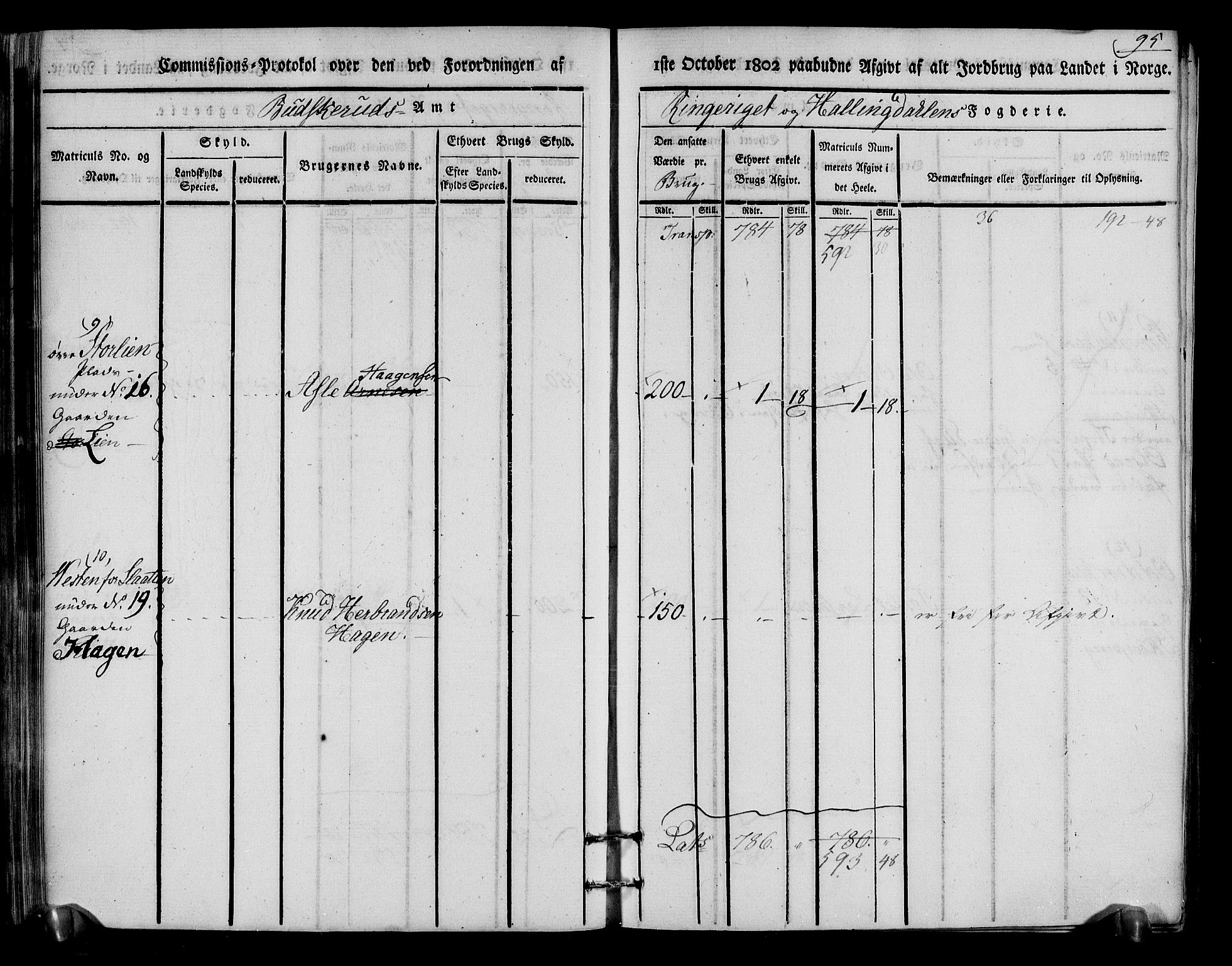 Rentekammeret inntil 1814, Realistisk ordnet avdeling, RA/EA-4070/N/Ne/Nea/L0048: Ringerike og Hallingdal fogderi. Kommisjonsprotokoll for Ål prestegjeld, 1803, p. 99