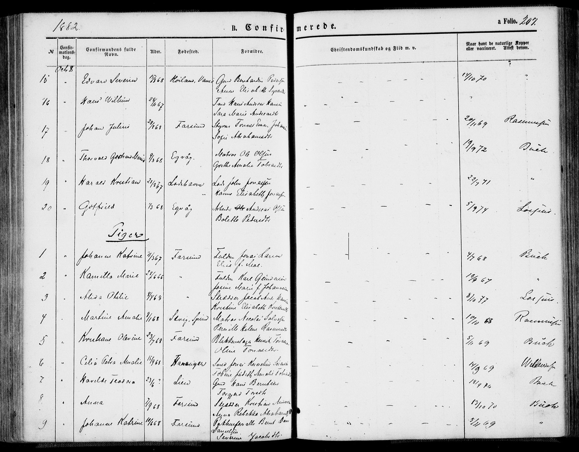 Farsund sokneprestkontor, SAK/1111-0009/F/Fa/L0005: Parish register (official) no. A 5, 1863-1886, p. 207