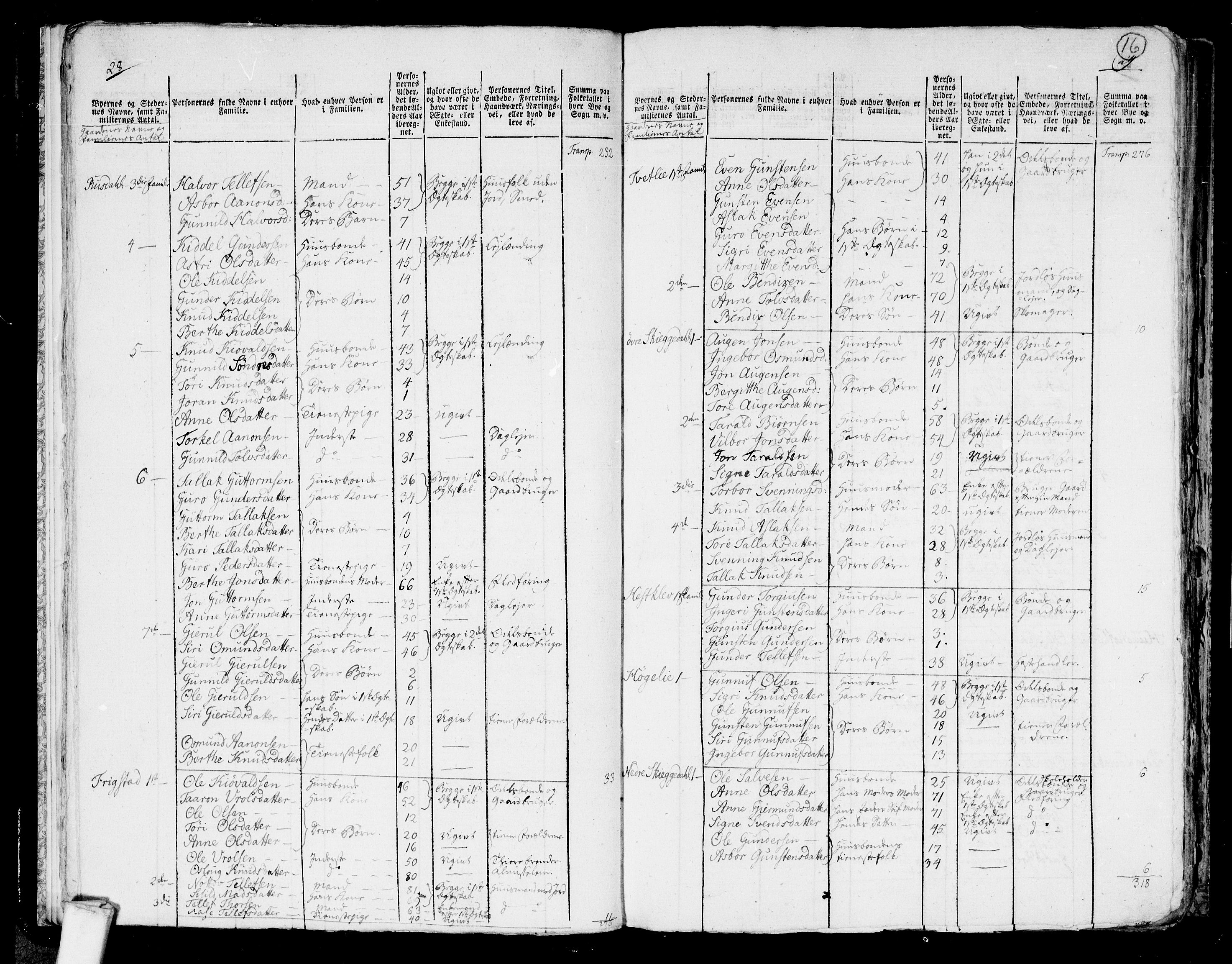 RA, 1801 census for 0929P Åmli, 1801, p. 15b-16a