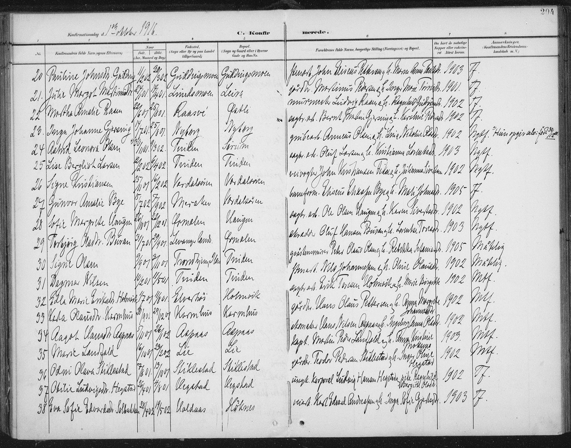 Ministerialprotokoller, klokkerbøker og fødselsregistre - Nord-Trøndelag, AV/SAT-A-1458/723/L0246: Parish register (official) no. 723A15, 1900-1917, p. 204