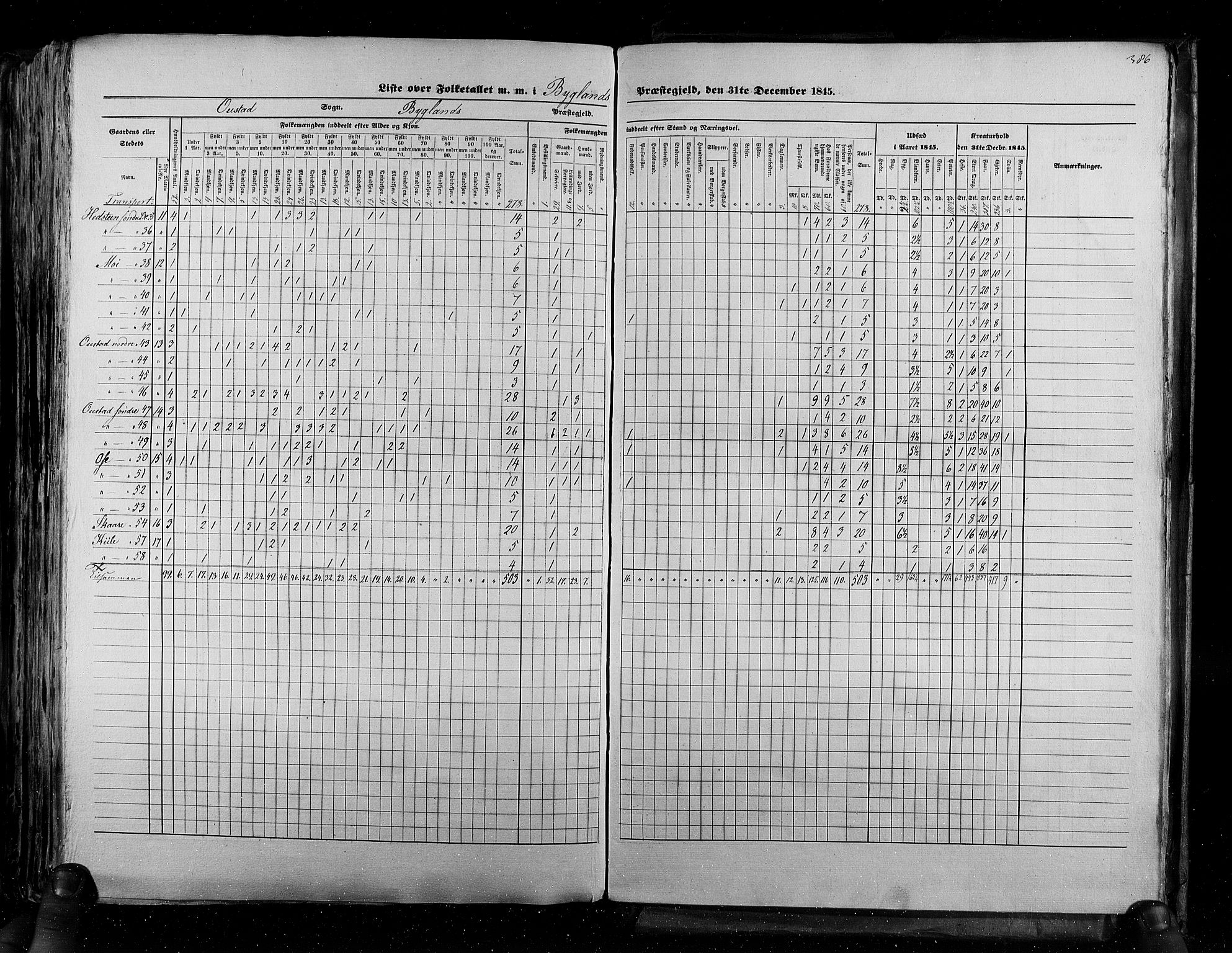 RA, Census 1845, vol. 5: Bratsberg amt og Nedenes og Råbyggelaget amt, 1845, p. 386