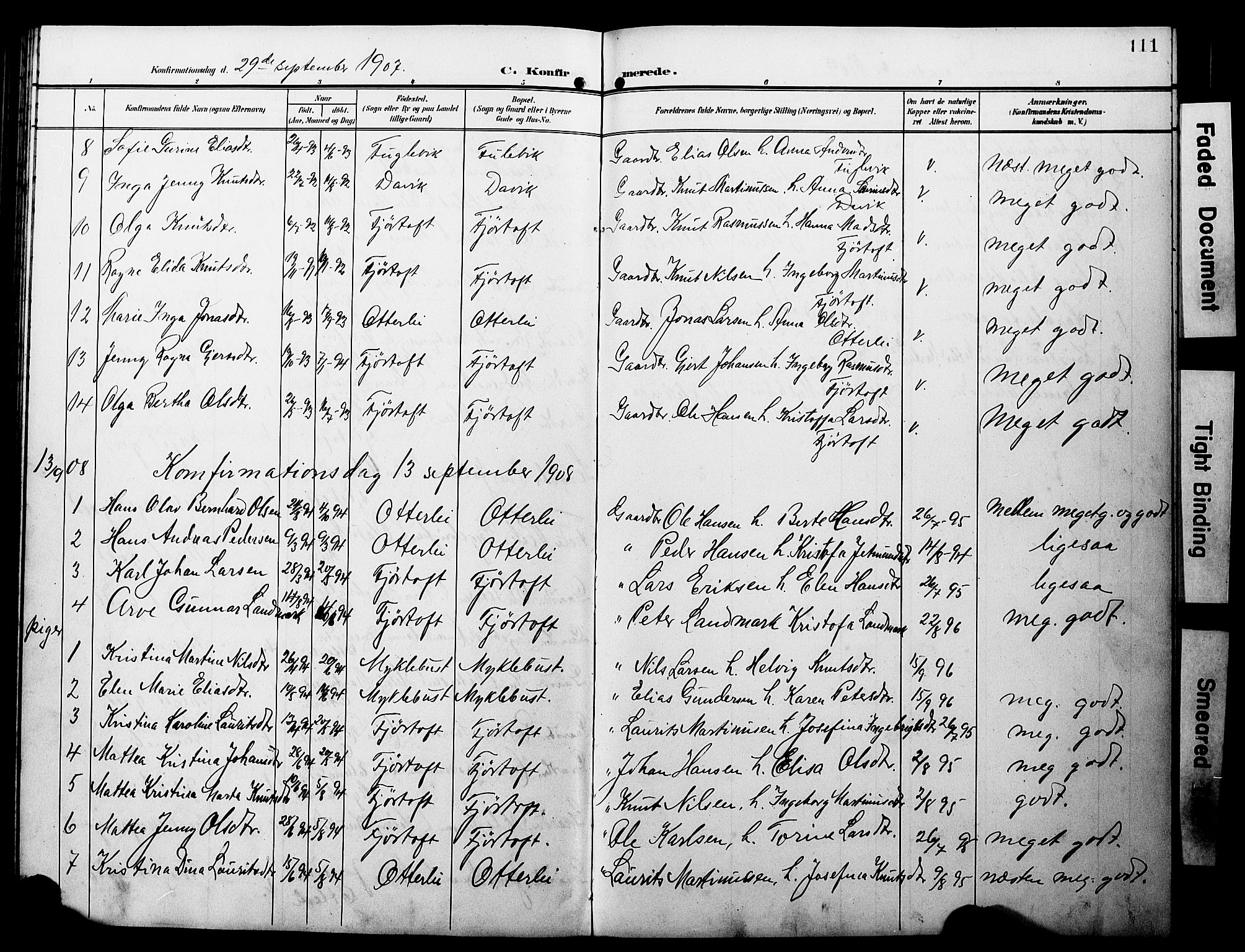 Ministerialprotokoller, klokkerbøker og fødselsregistre - Møre og Romsdal, AV/SAT-A-1454/538/L0524: Parish register (copy) no. 538C02, 1901-1931, p. 111