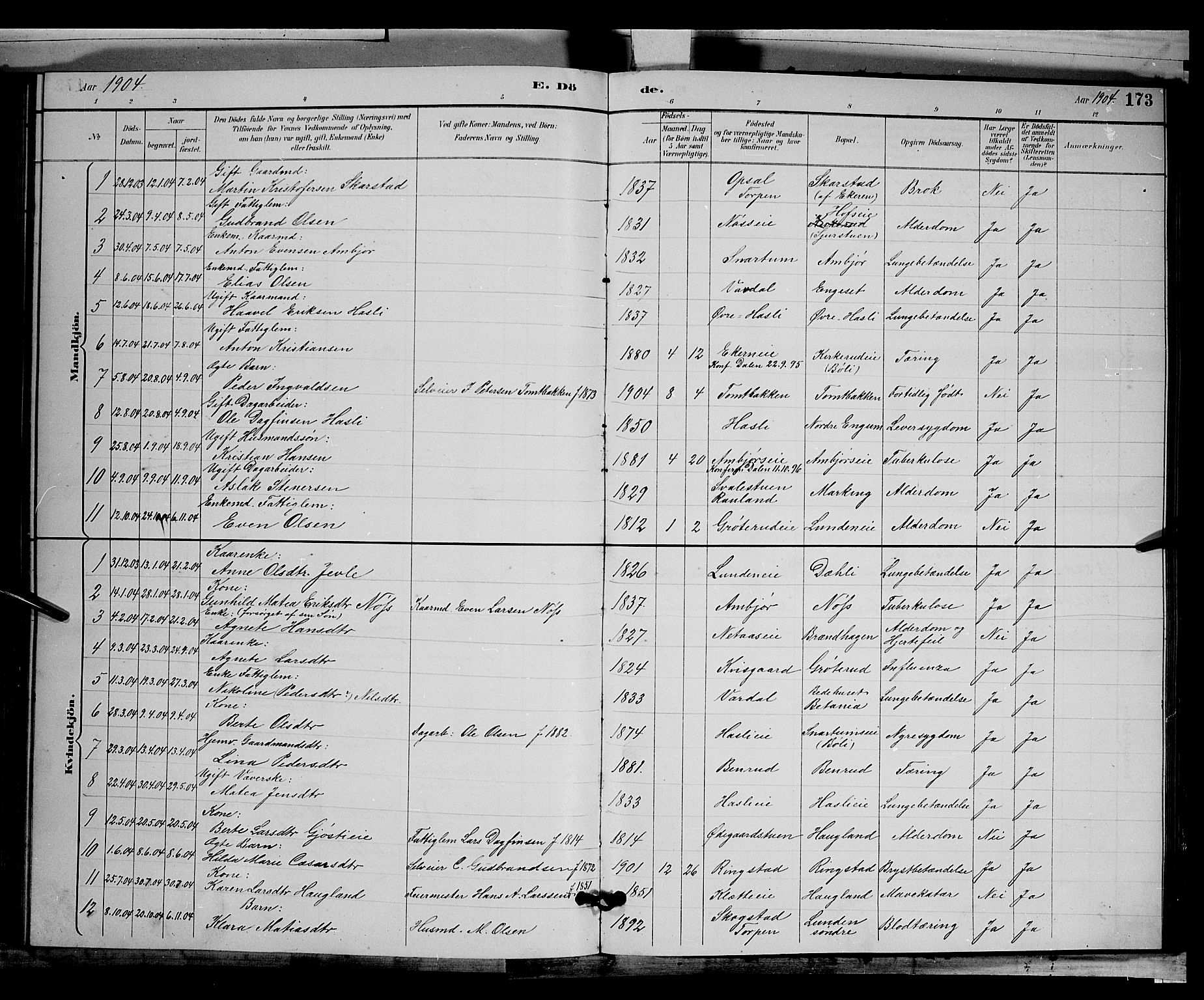 Biri prestekontor, AV/SAH-PREST-096/H/Ha/Hab/L0003: Parish register (copy) no. 3, 1892-1905, p. 173