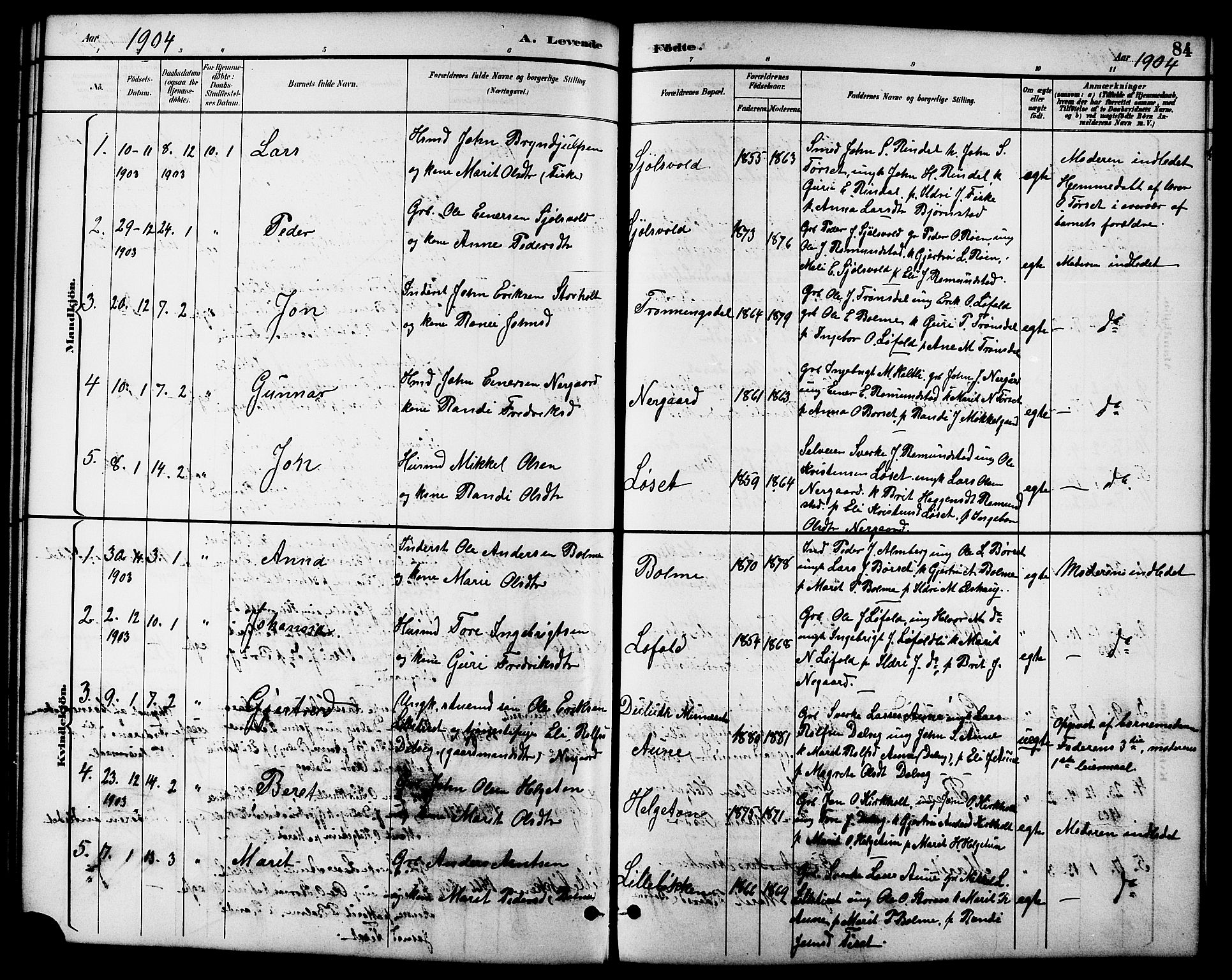 Ministerialprotokoller, klokkerbøker og fødselsregistre - Møre og Romsdal, SAT/A-1454/598/L1078: Parish register (copy) no. 598C03, 1892-1909, p. 84