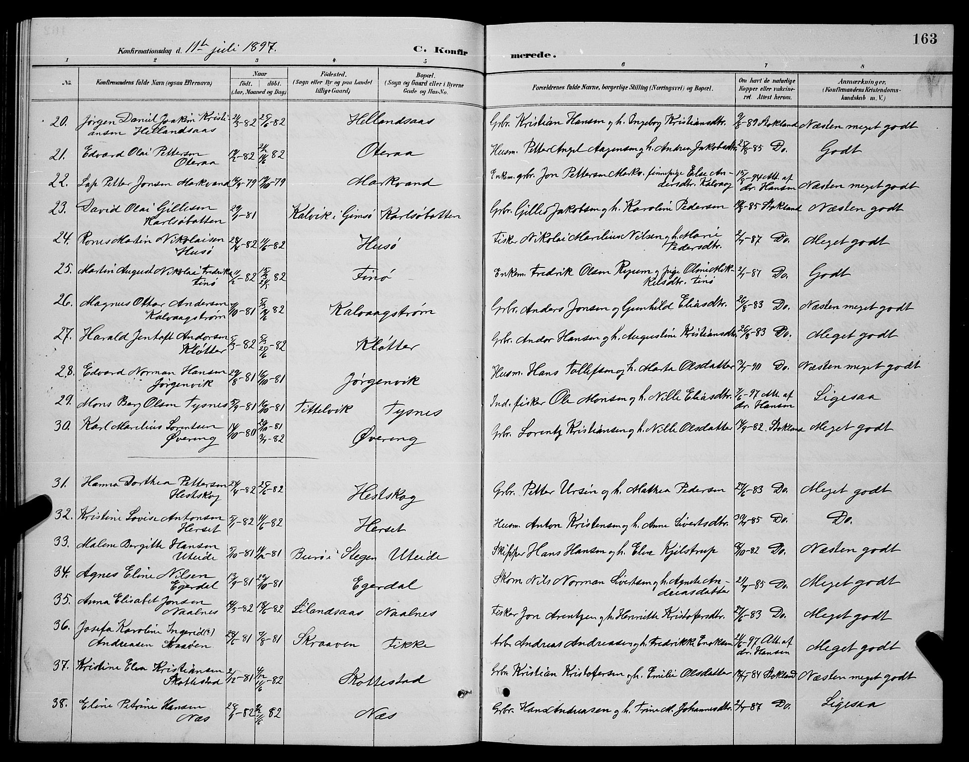 Ministerialprotokoller, klokkerbøker og fødselsregistre - Nordland, SAT/A-1459/859/L0859: Parish register (copy) no. 859C05, 1887-1898, p. 163