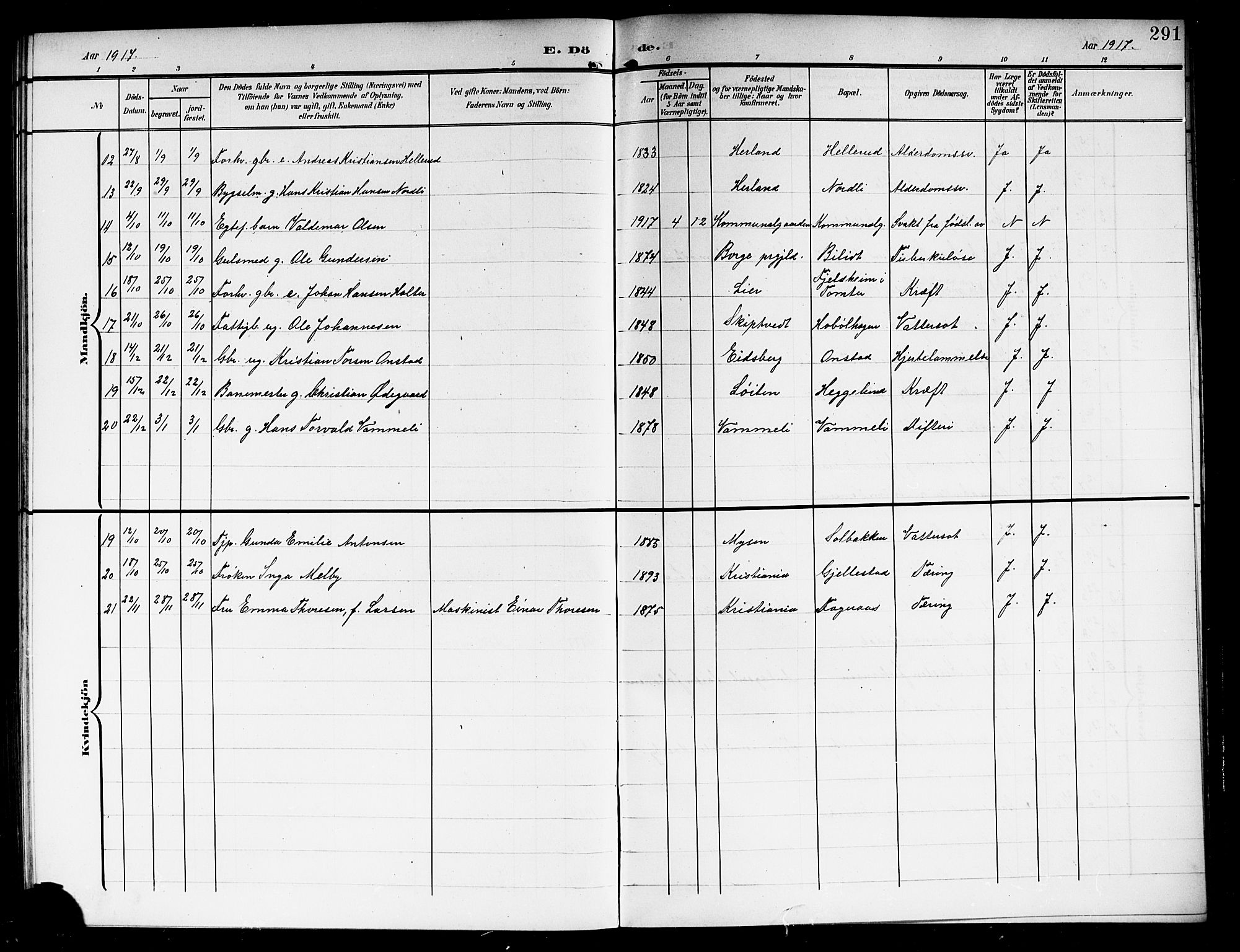 Askim prestekontor Kirkebøker, AV/SAO-A-10900/G/Ga/L0002: Parish register (copy) no. 2, 1903-1921, p. 291