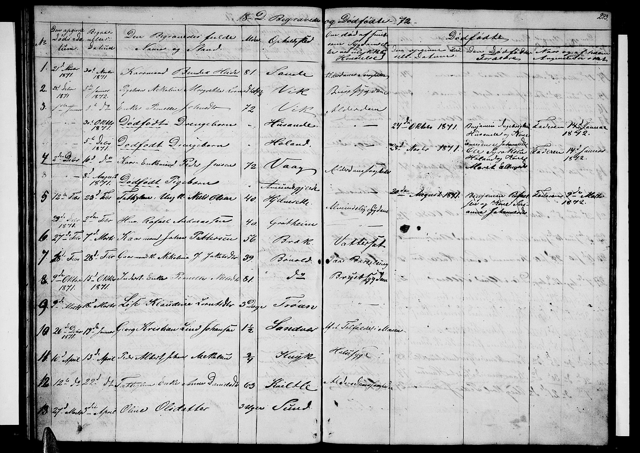 Ministerialprotokoller, klokkerbøker og fødselsregistre - Nordland, SAT/A-1459/812/L0187: Parish register (copy) no. 812C05, 1850-1883, p. 243