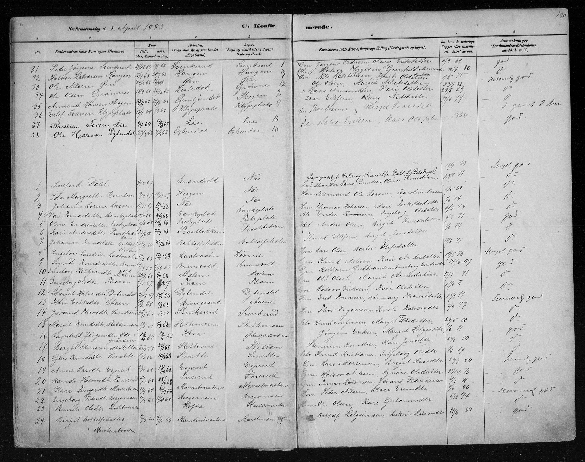 Nes kirkebøker, AV/SAKO-A-236/F/Fa/L0011: Parish register (official) no. 11, 1881-1912, p. 190