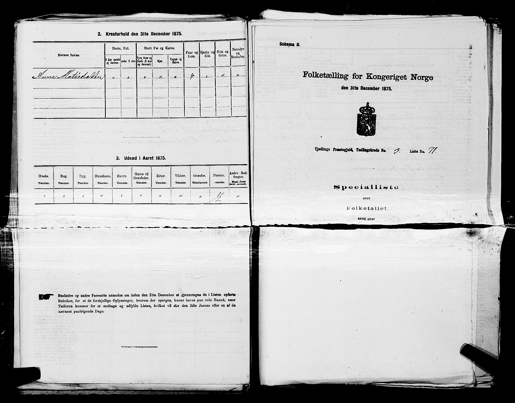 SAKO, 1875 census for 0725P Tjølling, 1875, p. 529